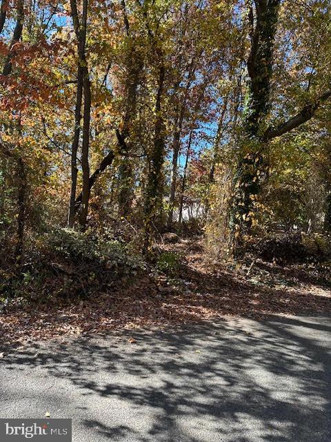 ANDREWS MANOR - Land