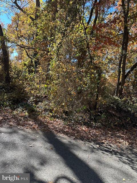 ANDREWS MANOR - Land