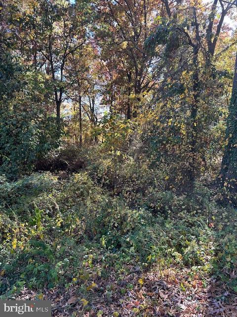 ANDREWS MANOR - Land