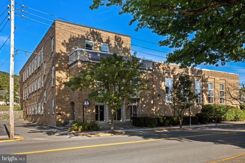 Multifamily For Sale - 1001 Moore Street<br/> Huntingdon County, HUNTINGDON, PA 16652