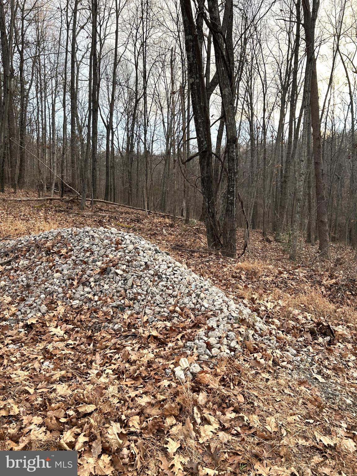 Lot 7 SNOW MOUNTAIN RD