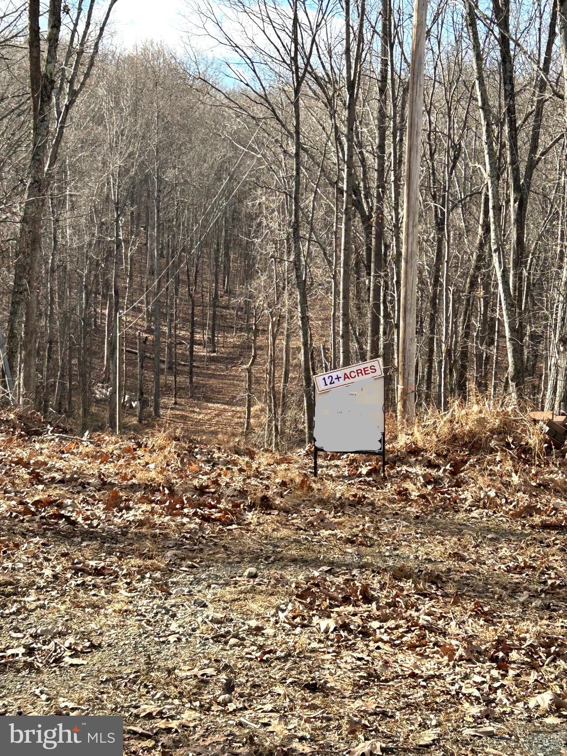 Lot 7 SNOW MOUNTAIN RD