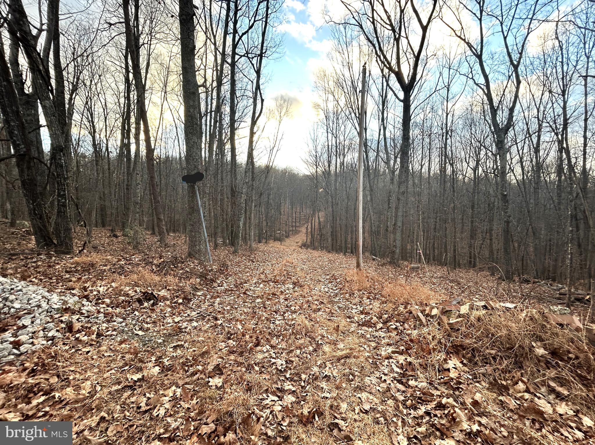 Lot 7 SNOW MOUNTAIN RD