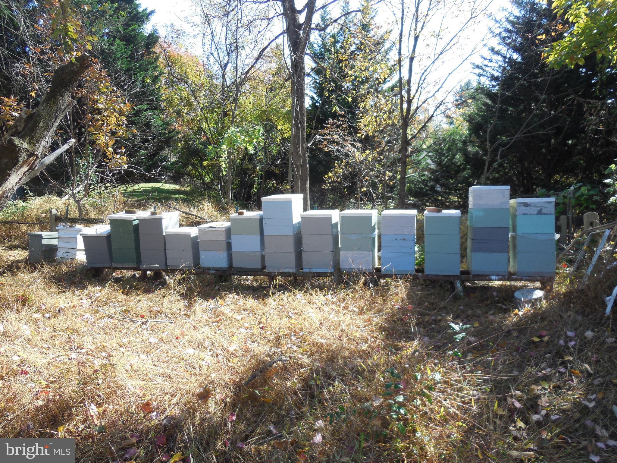 SUNNYBROOK FARMS - Residential