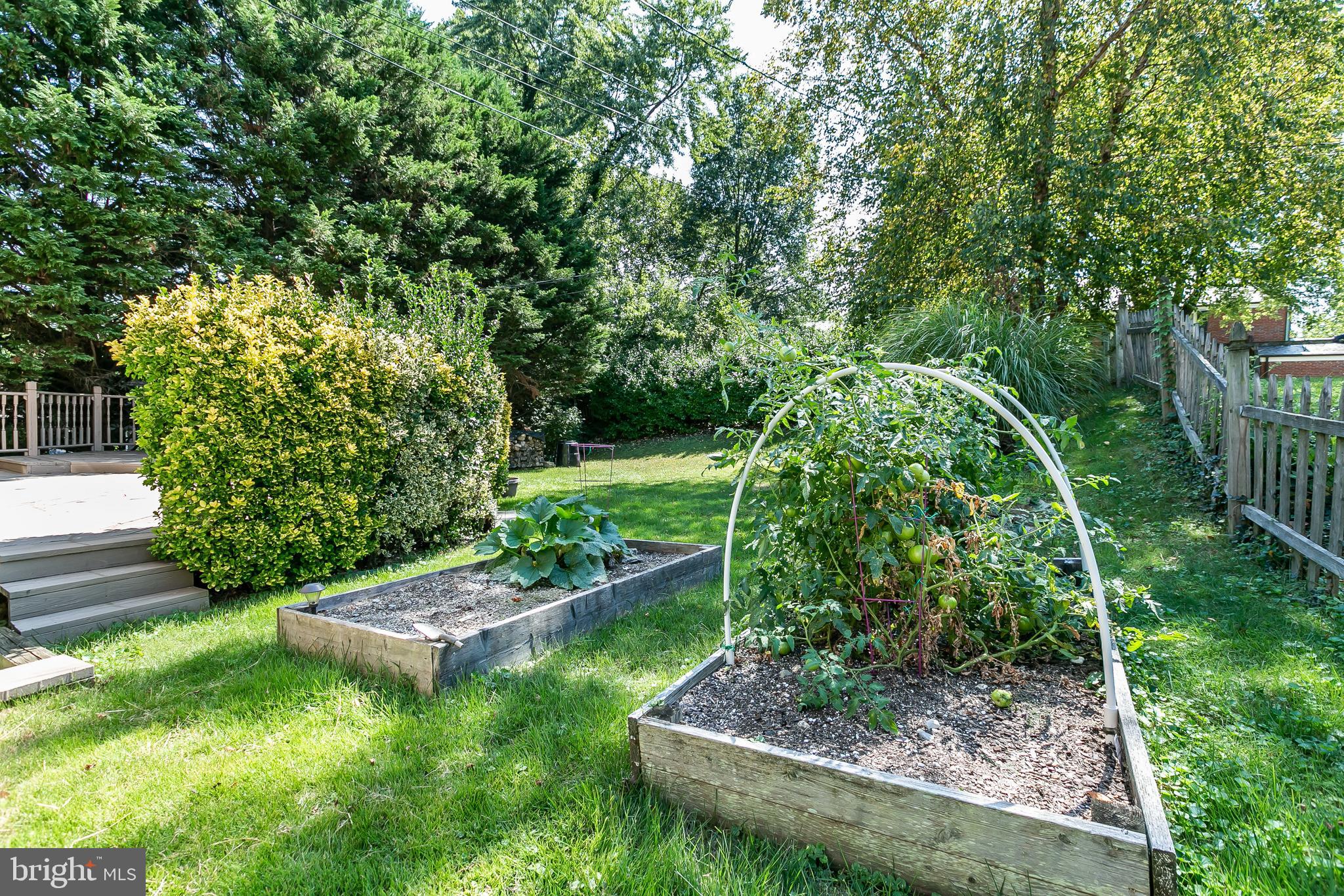 WILTONDALE - Residential