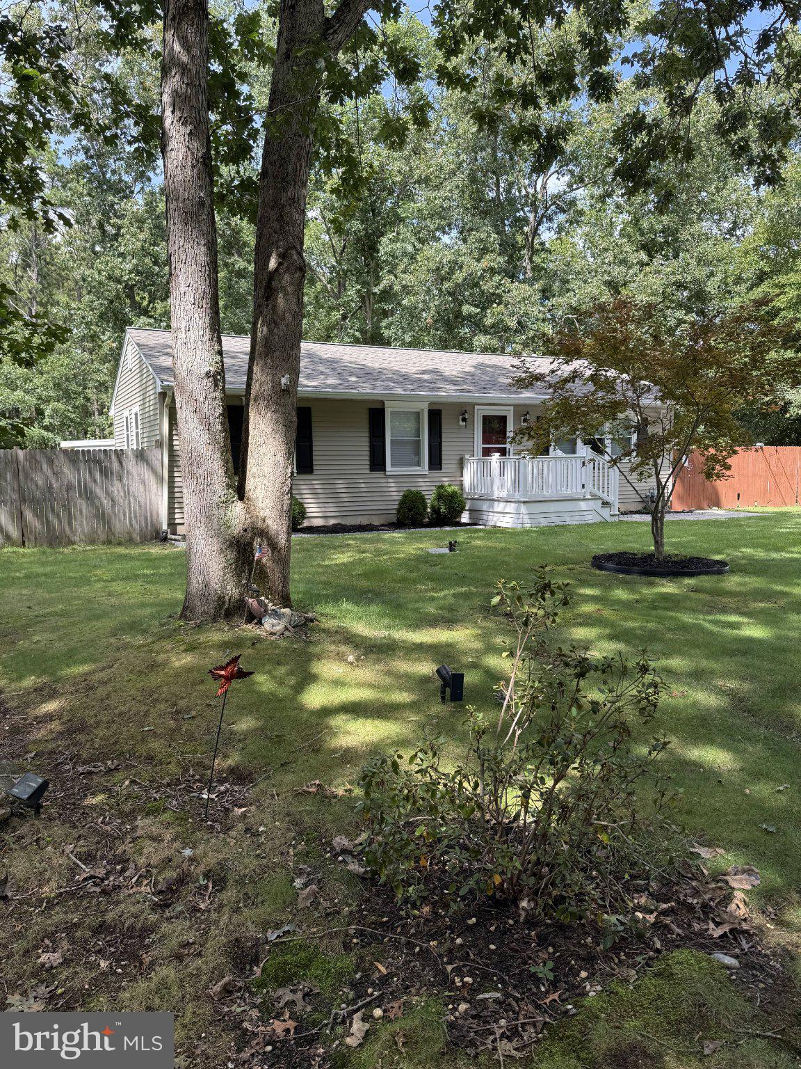 259 PINE AVENUE