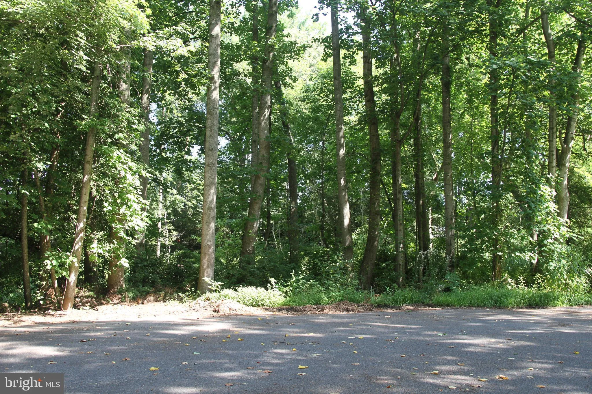 43 Sabrina Drive #45, Rehoboth Beach, DE 19971