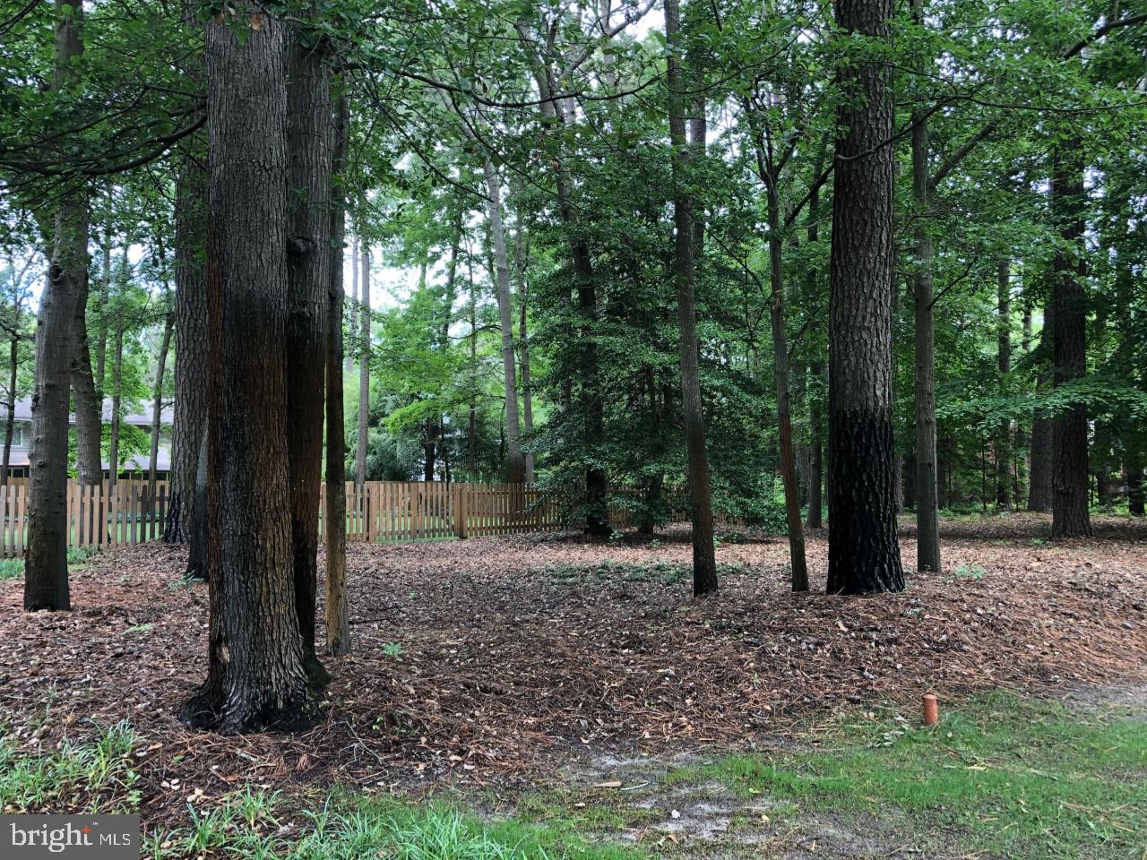 TIMBERLAKE - Residential