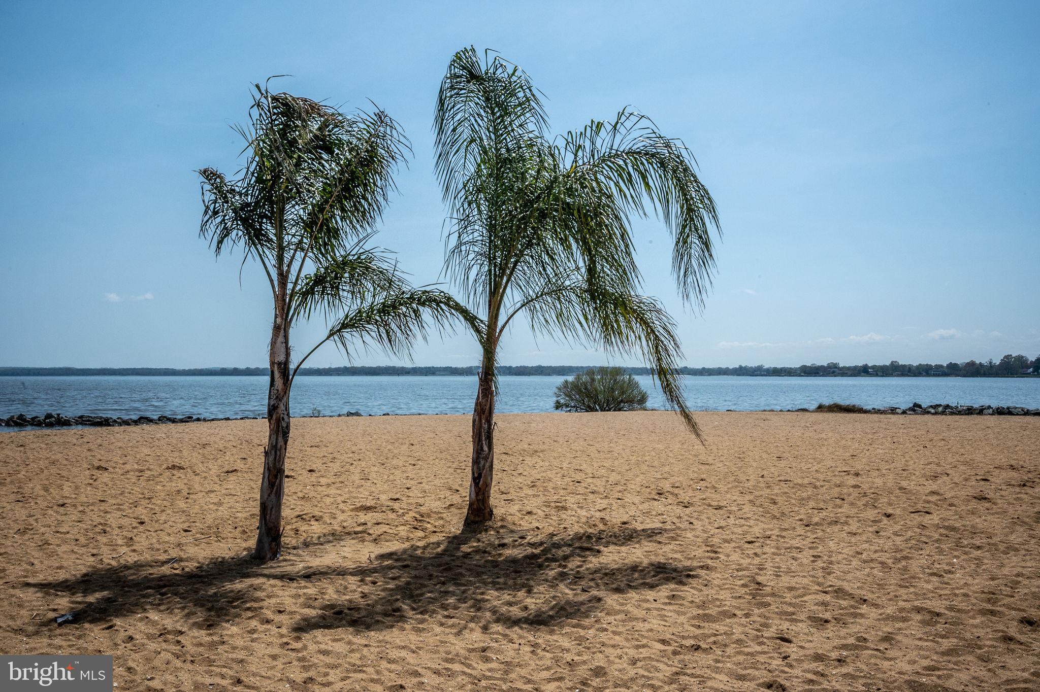 CLASSIC SHORES - Residential