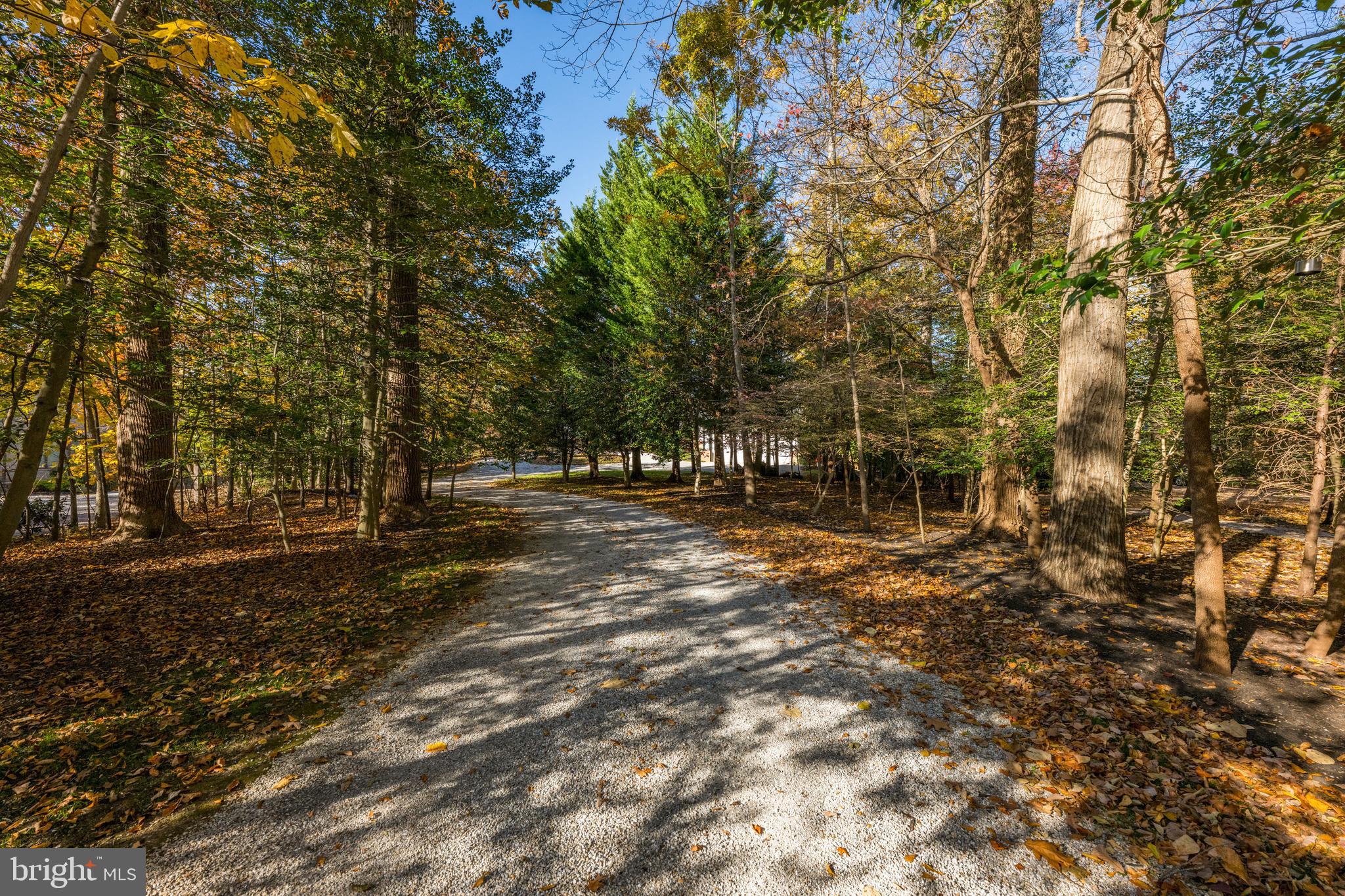 RIVER WATCH - Residential