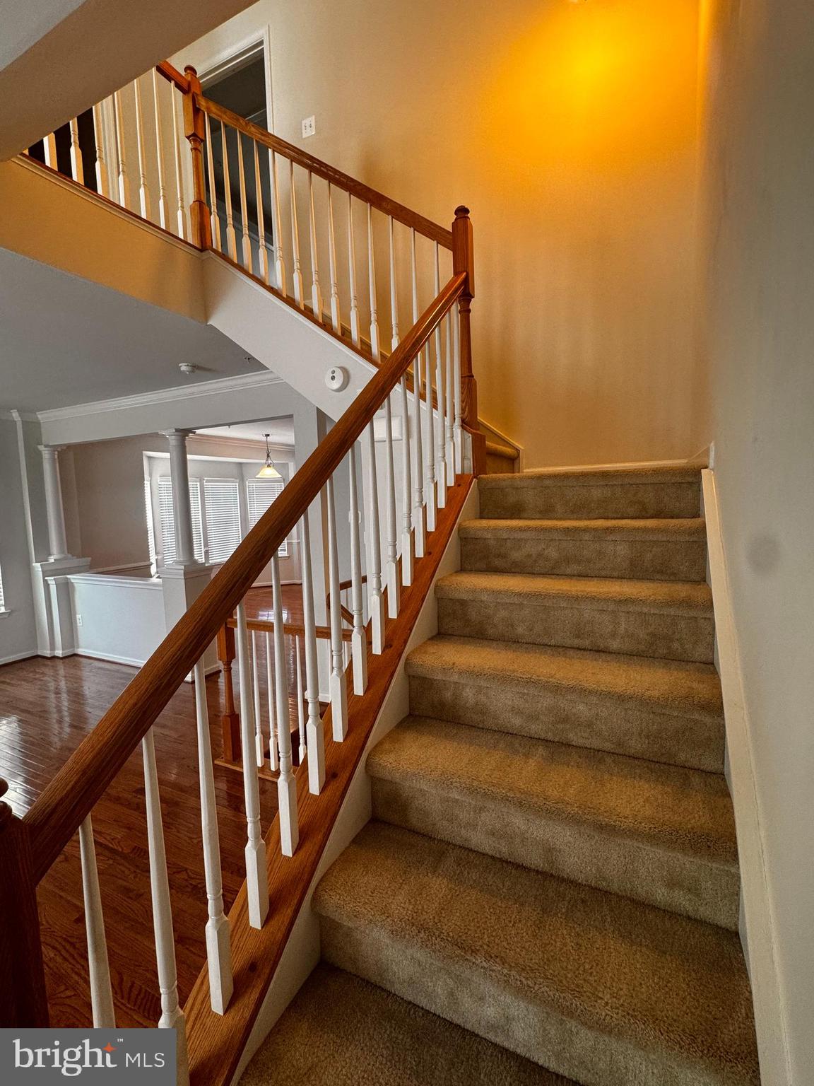 ADAMS CROSSING - Residential Lease