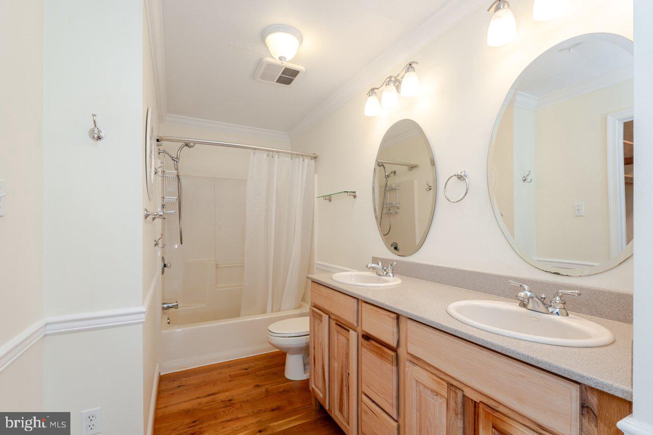 SPIKER - Residential