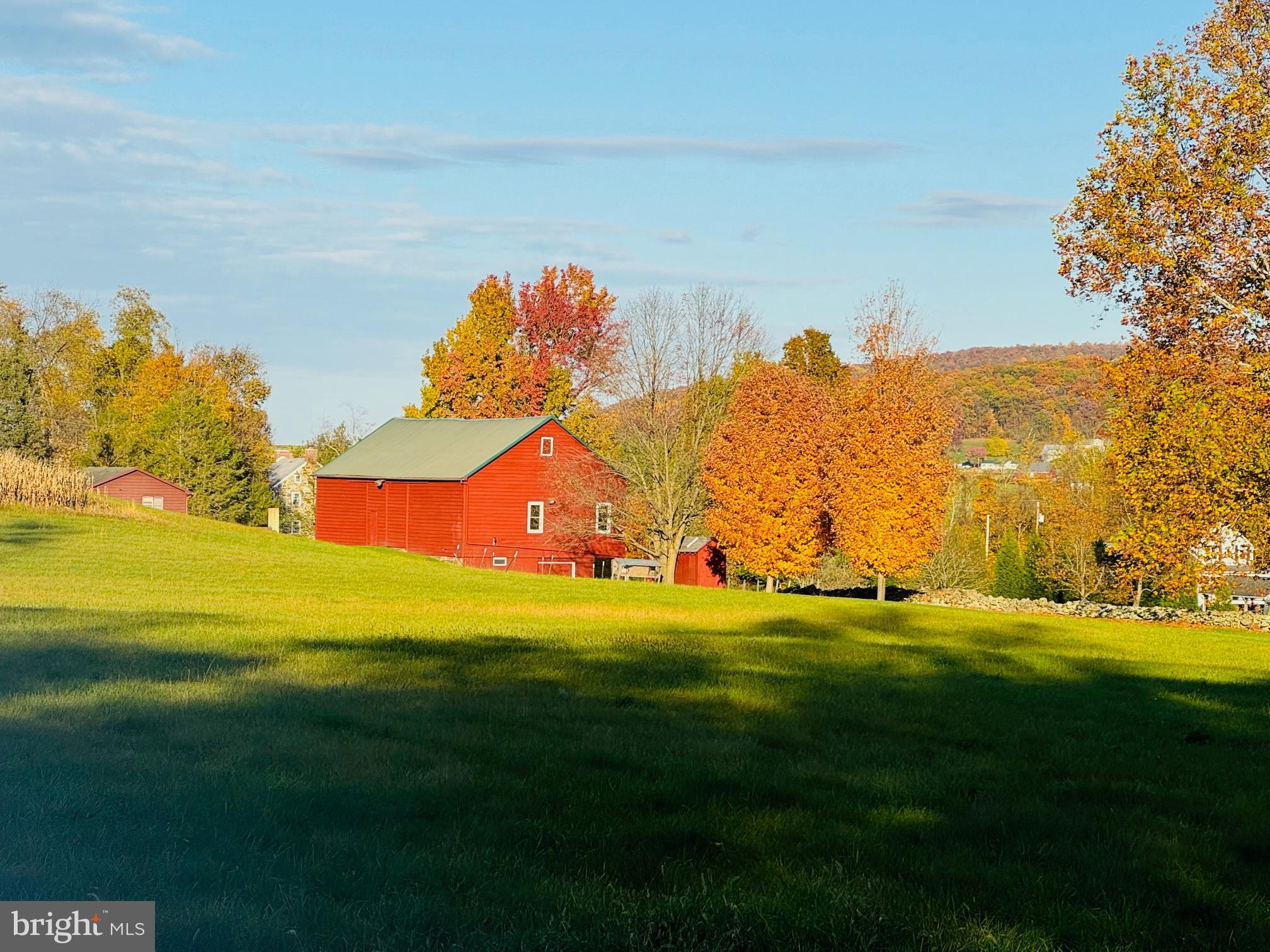 NONE AVAILABLE - Farm