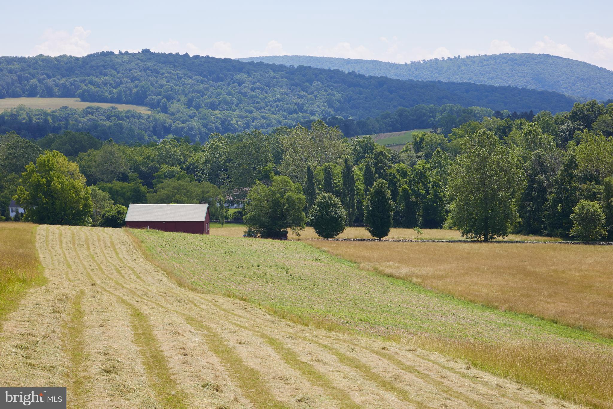 NONE AVAILABLE - Farm