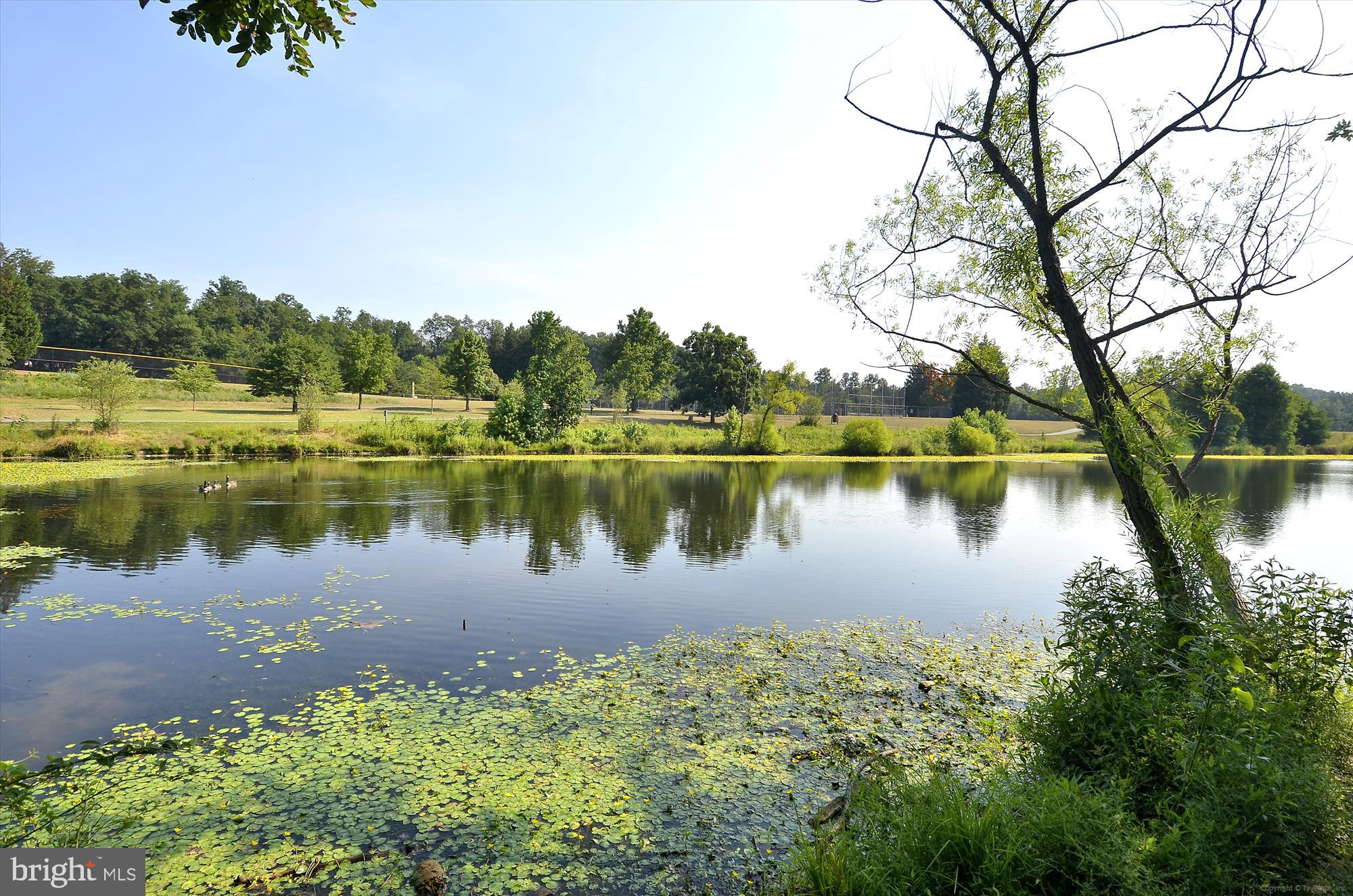 EAST SPRINGBROOK - Residential