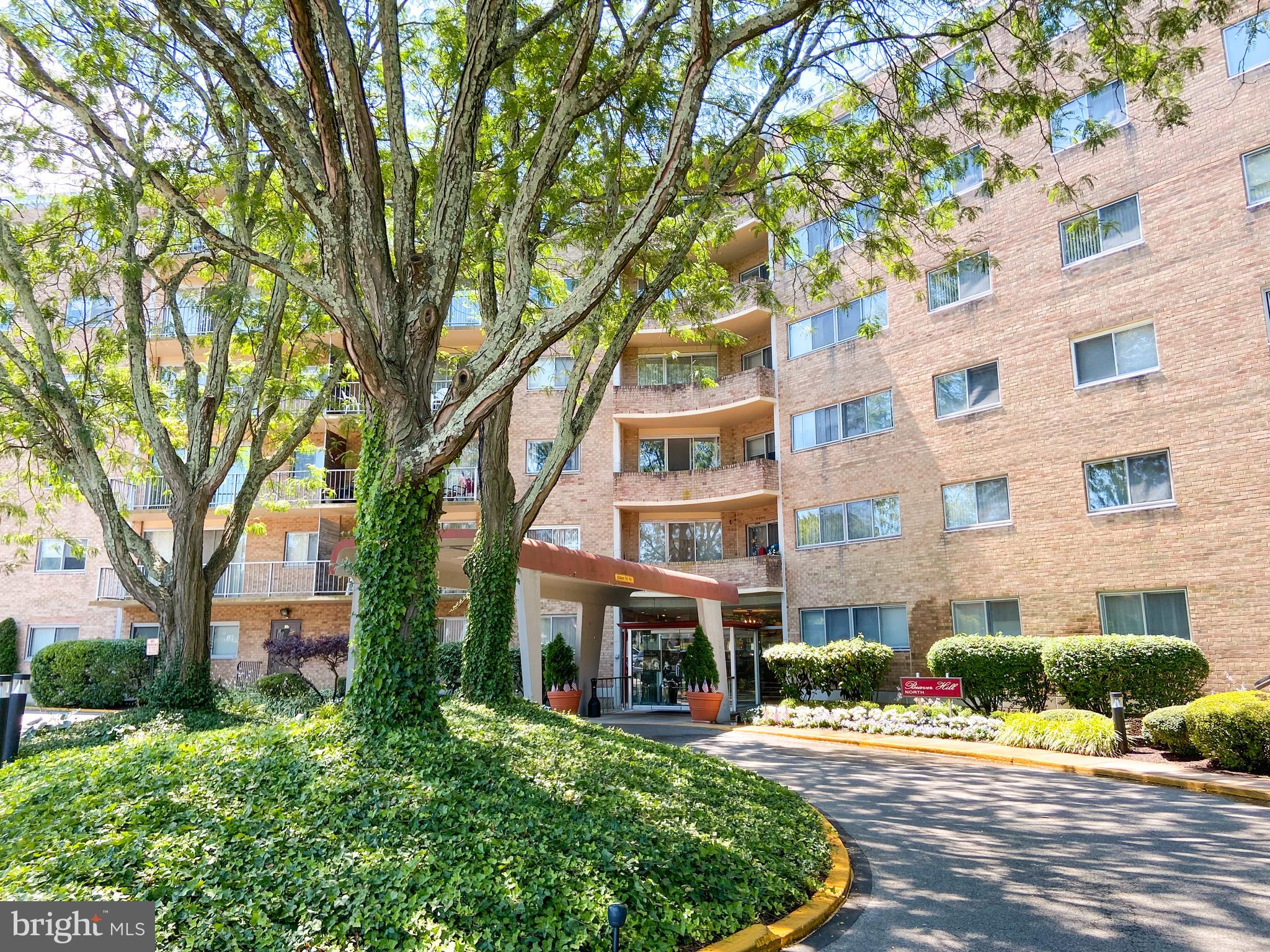 Move right in to this sun-splashed, first-floor 1BR at Beaver Hill North—updated in 2022 and thoughtfully upgraded throughout. Enjoy an open living/dining layout with wide windows and great natural light. The remodeled kitchen (2022) features granite counters, newer dishwasher, disposal, and crisp cabinetry. The updated bath (2022), newer carpeting (2022), and upgraded electrical and plumbing round out the turnkey package. Storage is a standout with two walk-in closets. All utilities (except cable/phone/internet) are included for easy budgeting. Community perks abound: 24/7 friendly doorman in a beautiful lobby, security camera coverage, laundry on each floor, elevator access, a pleasant community room, and complimentary shuttle service to local shops. Your view overlooks the serene, park-like grounds and pool—plus this unit sits just one door from the pool exit for effortless summer days. Trash and laundry rooms are conveniently located at the end of the hall. Prime Jenkintown location: a short stroll to the borough’s shopping and dining district, one block to the train for easy commuting, and roughly a mile to Trader Joe’s and Whole Foods. Jenkintown Elementary, Middle, and High School are directly across the street. Easy living, stellar amenities, and a superb location—welcome home to Beaver Hill North.
