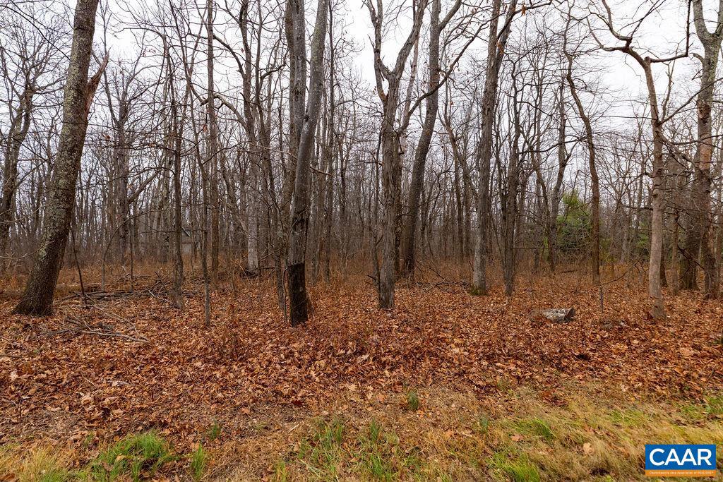 NONE AVAILABLE - Land