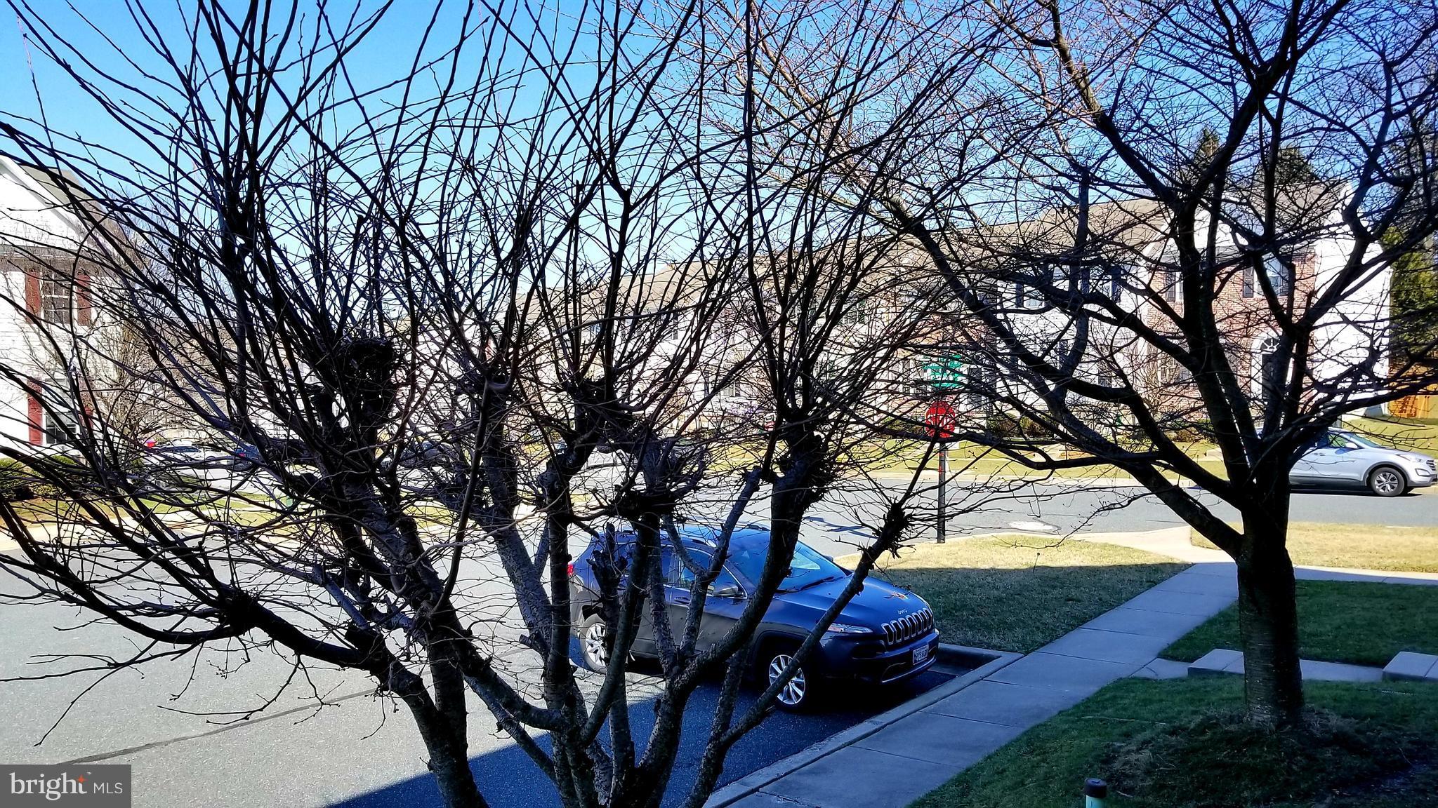 MONMOUTH MEADOWS - Residential