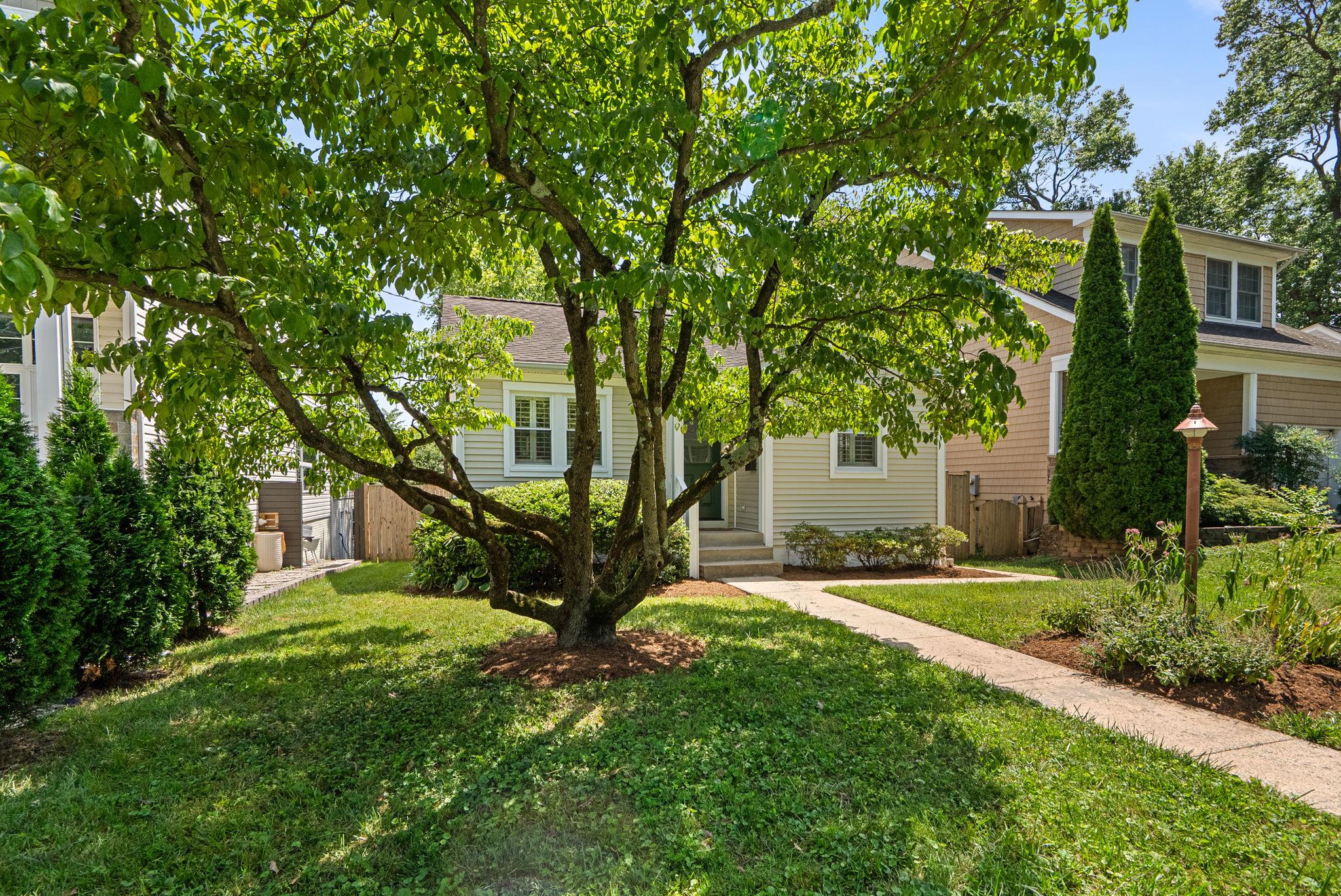 513 PARK ROAD