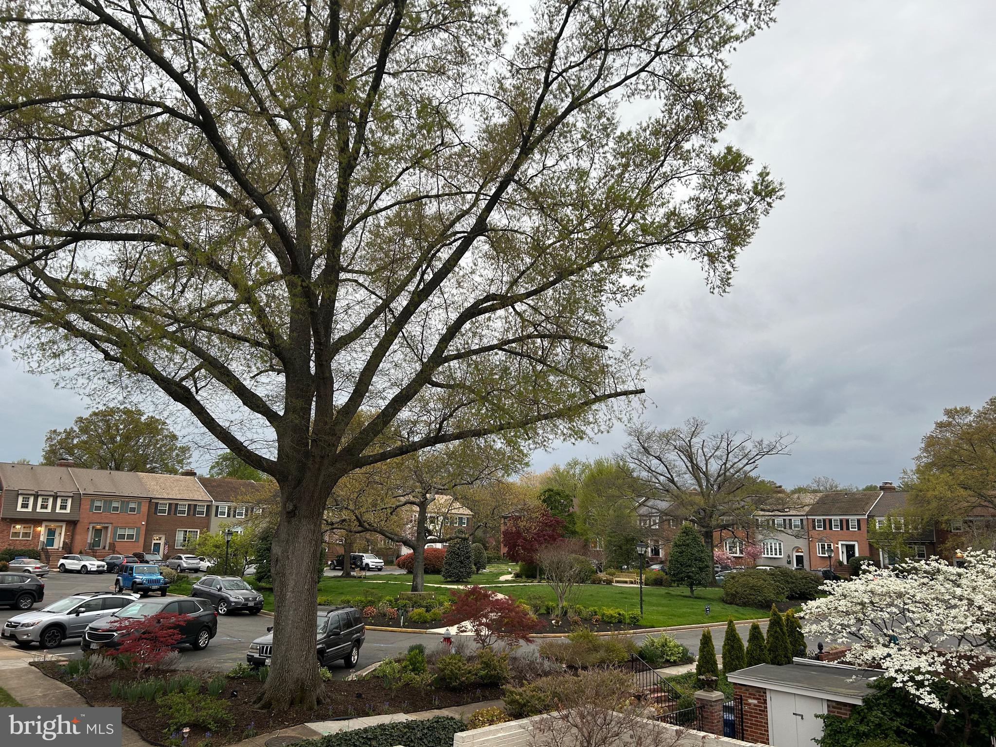OLDE BELHAVEN TOWNE - Residential