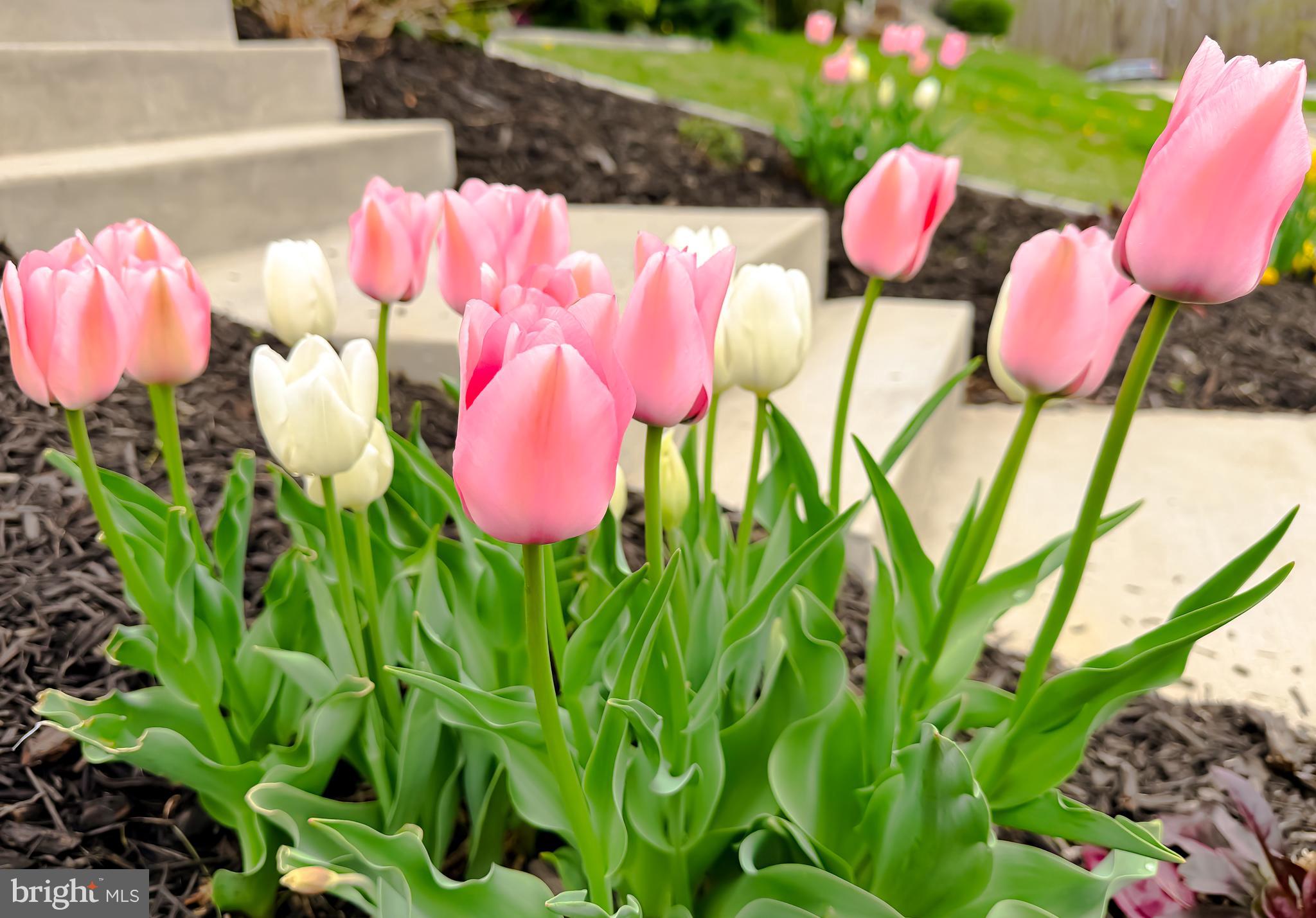 CLARK'S REST - Residential