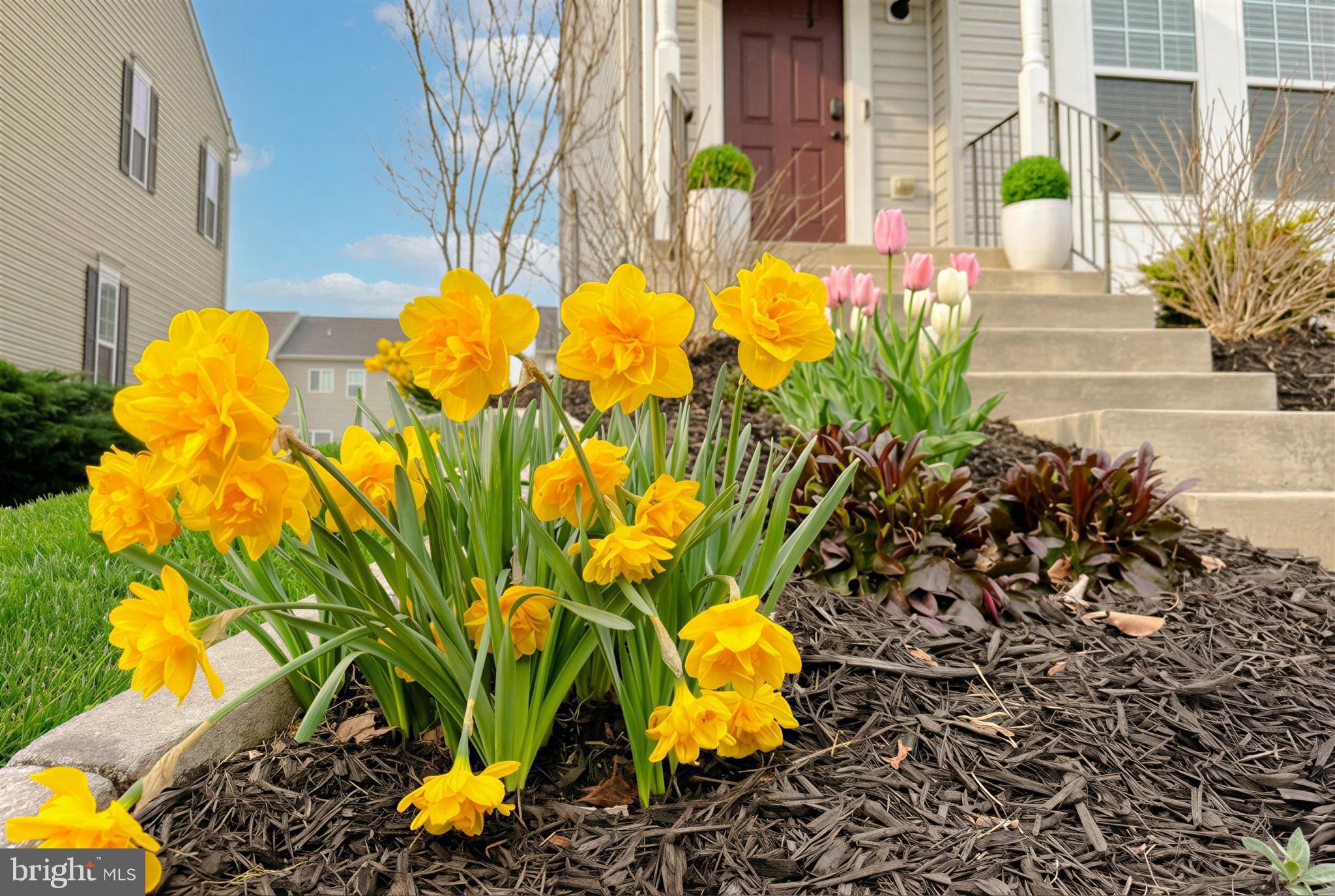 CLARK'S REST - Residential