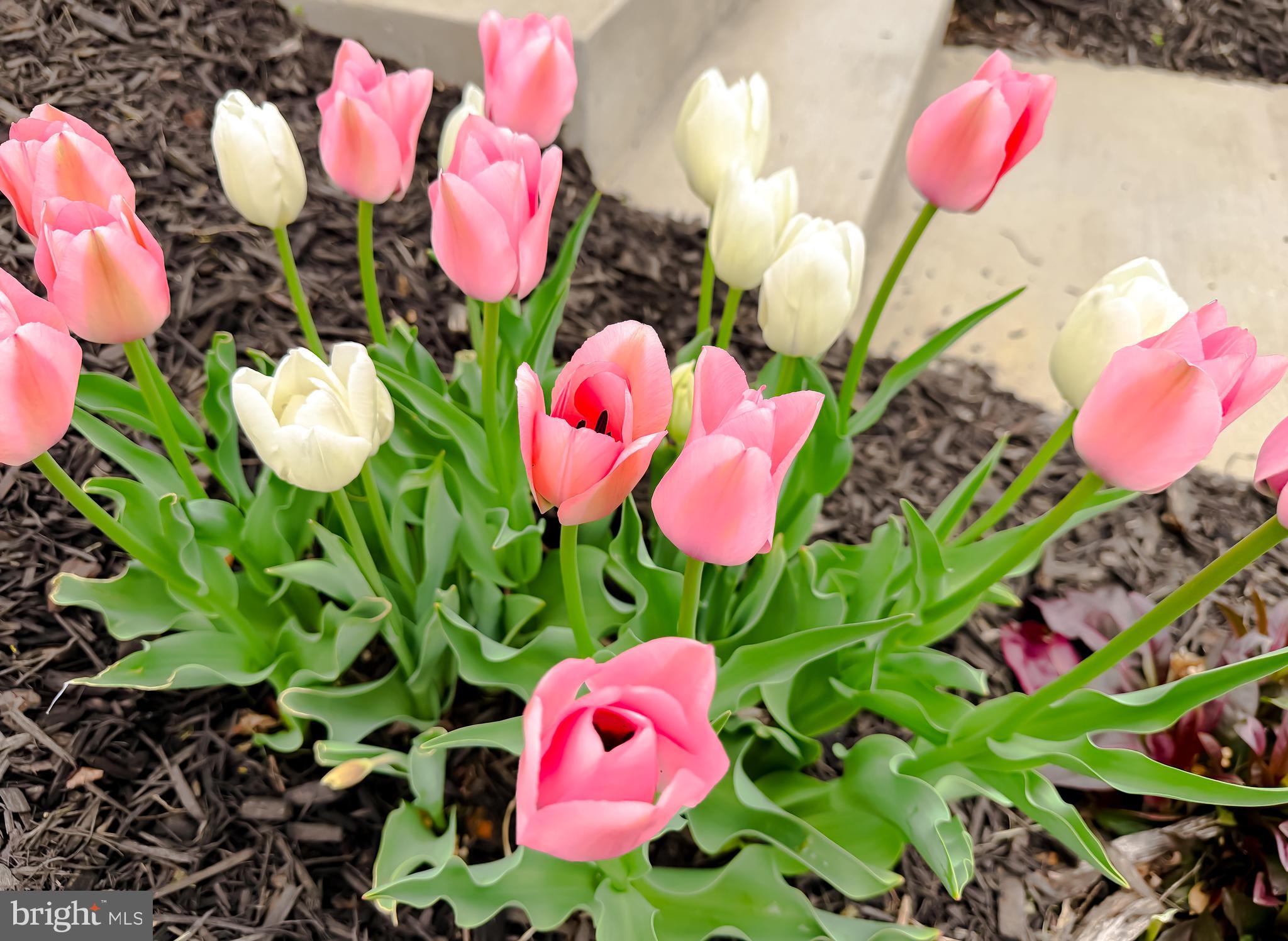 CLARK'S REST - Residential