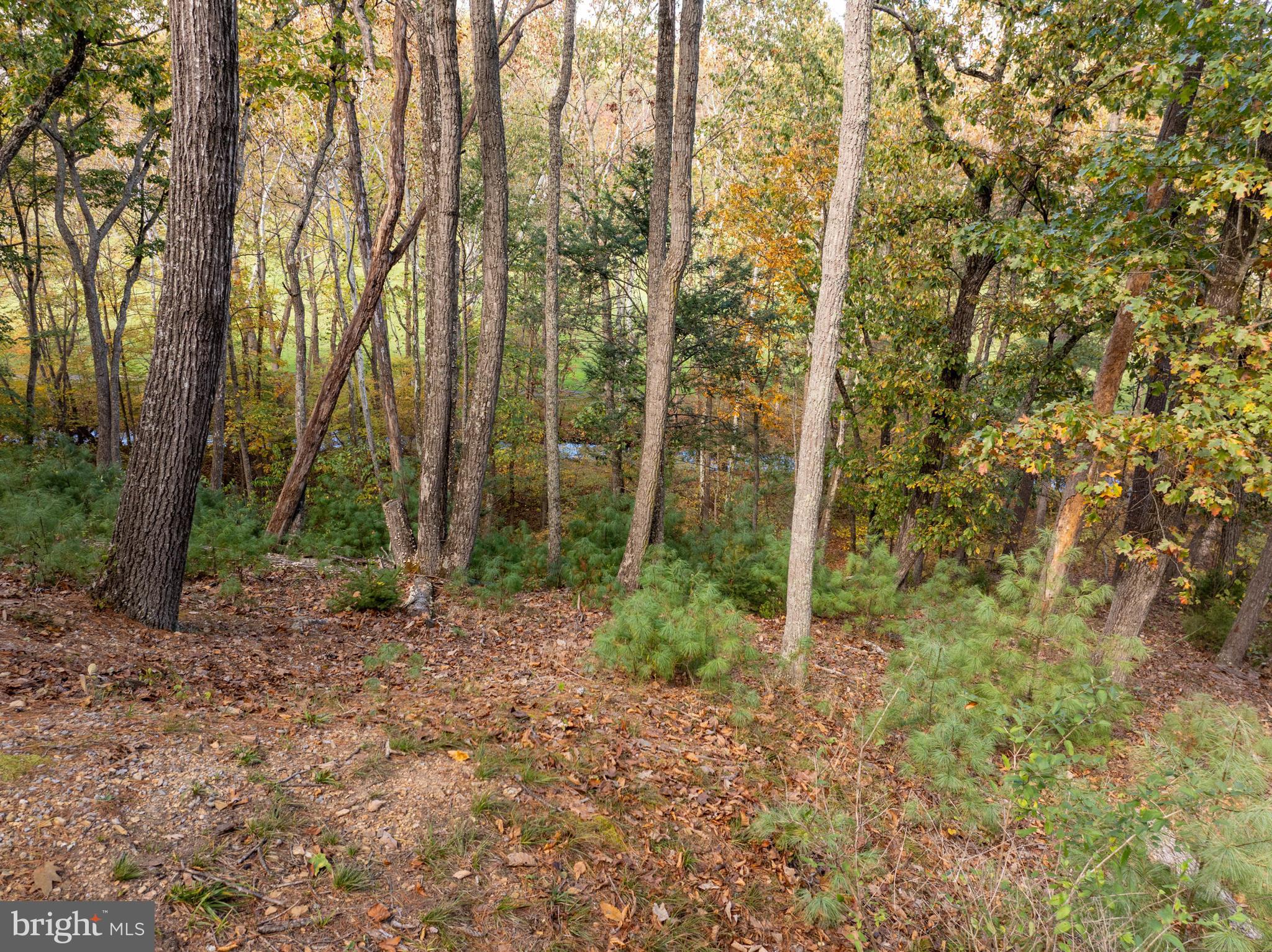 BRYCE  MOUNTAIN  RESORT - Residential