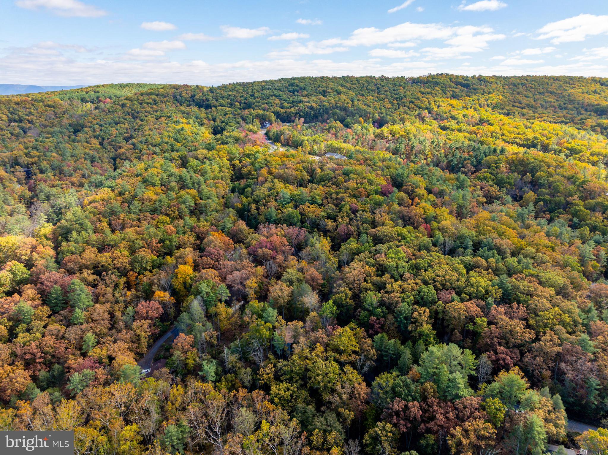 BRYCE  MOUNTAIN  RESORT - Residential