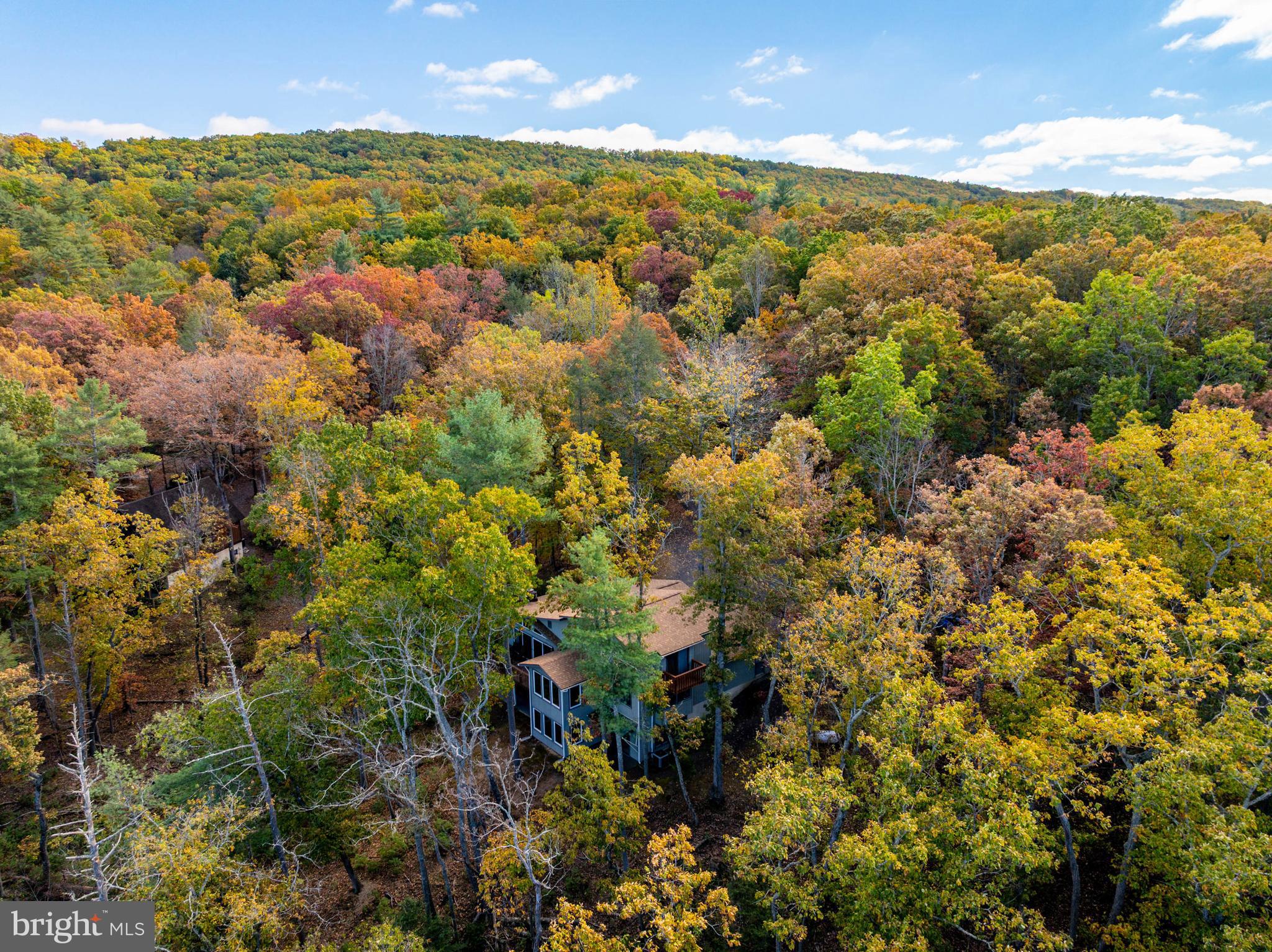 BRYCE  MOUNTAIN  RESORT - Residential