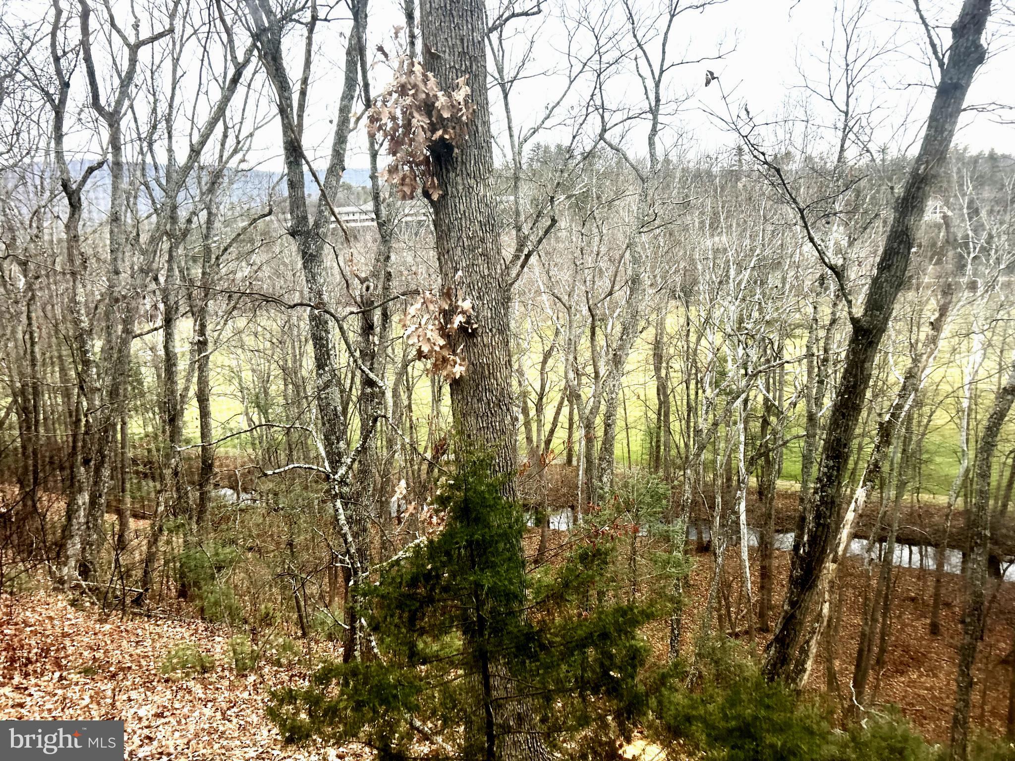 BRYCE  MOUNTAIN  RESORT - Residential