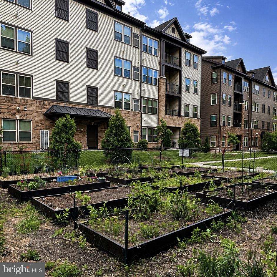 PADDOCK POINTE - Residential