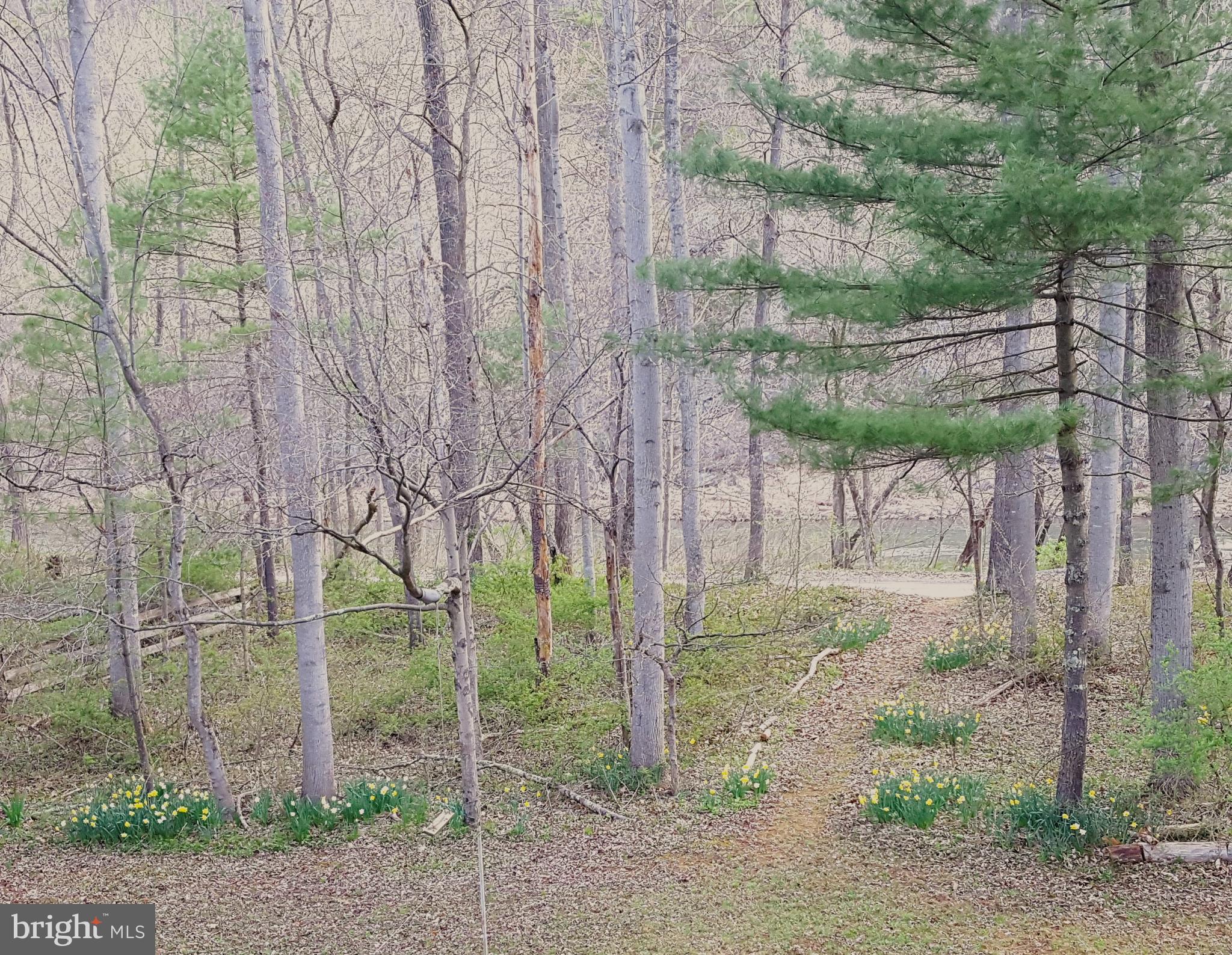 CACAPON HILLS - Residential