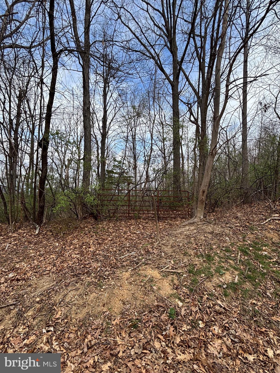 00 CHESTNUT RIDGE RD