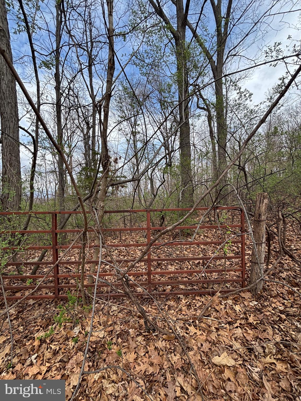 00 CHESTNUT RIDGE RD