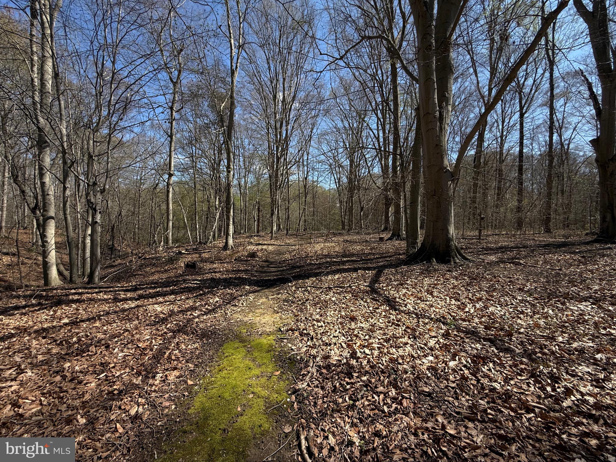 PRESTWICK - Residential