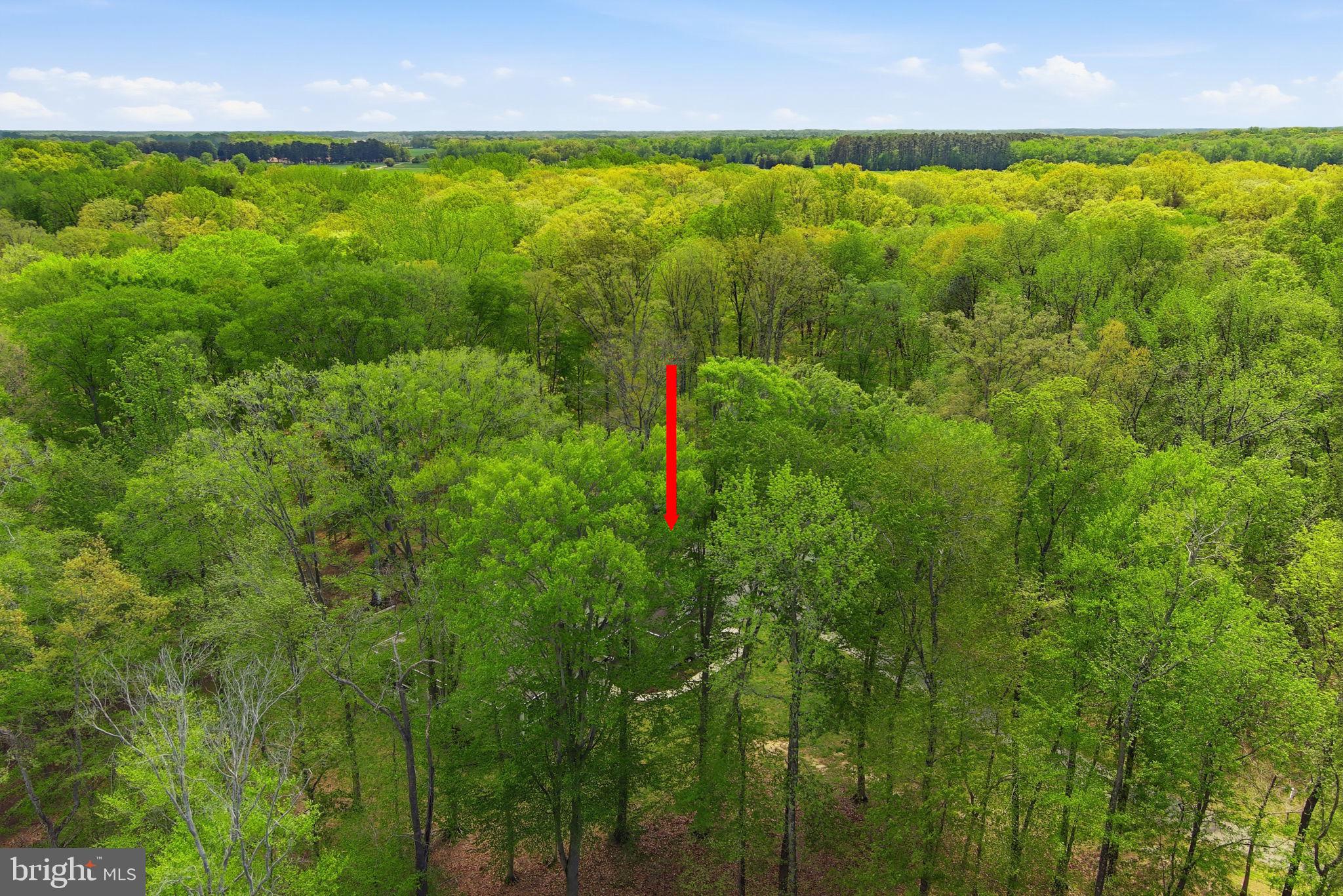 PRESTWICK - Residential