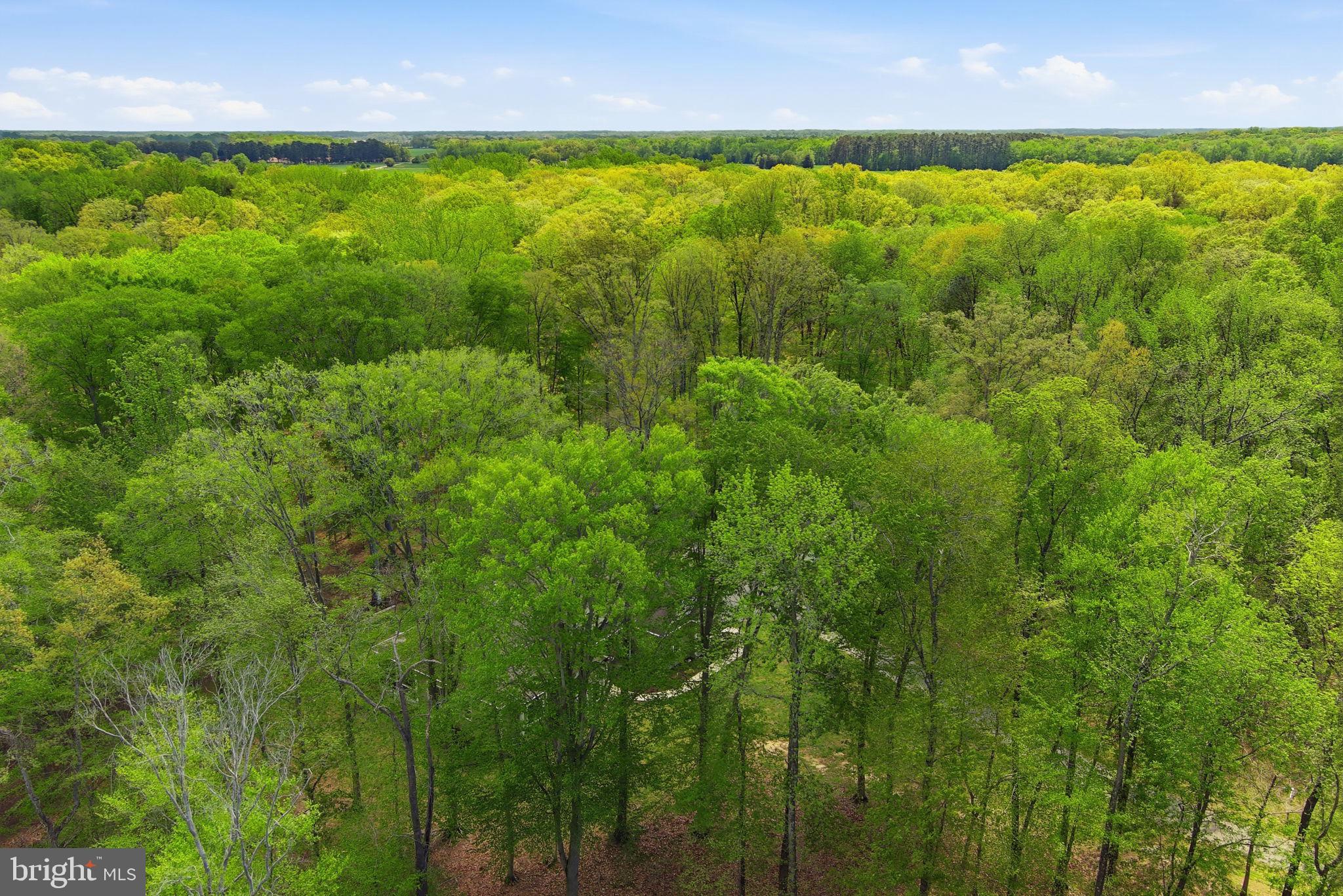 PRESTWICK - Residential