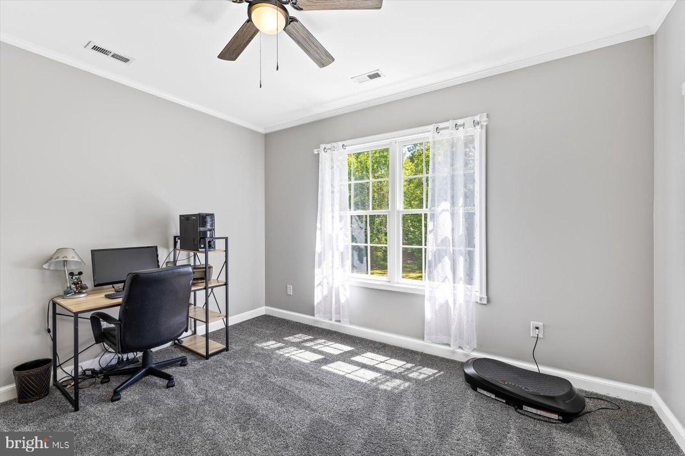 GEORGE'S BLUFF - Residential