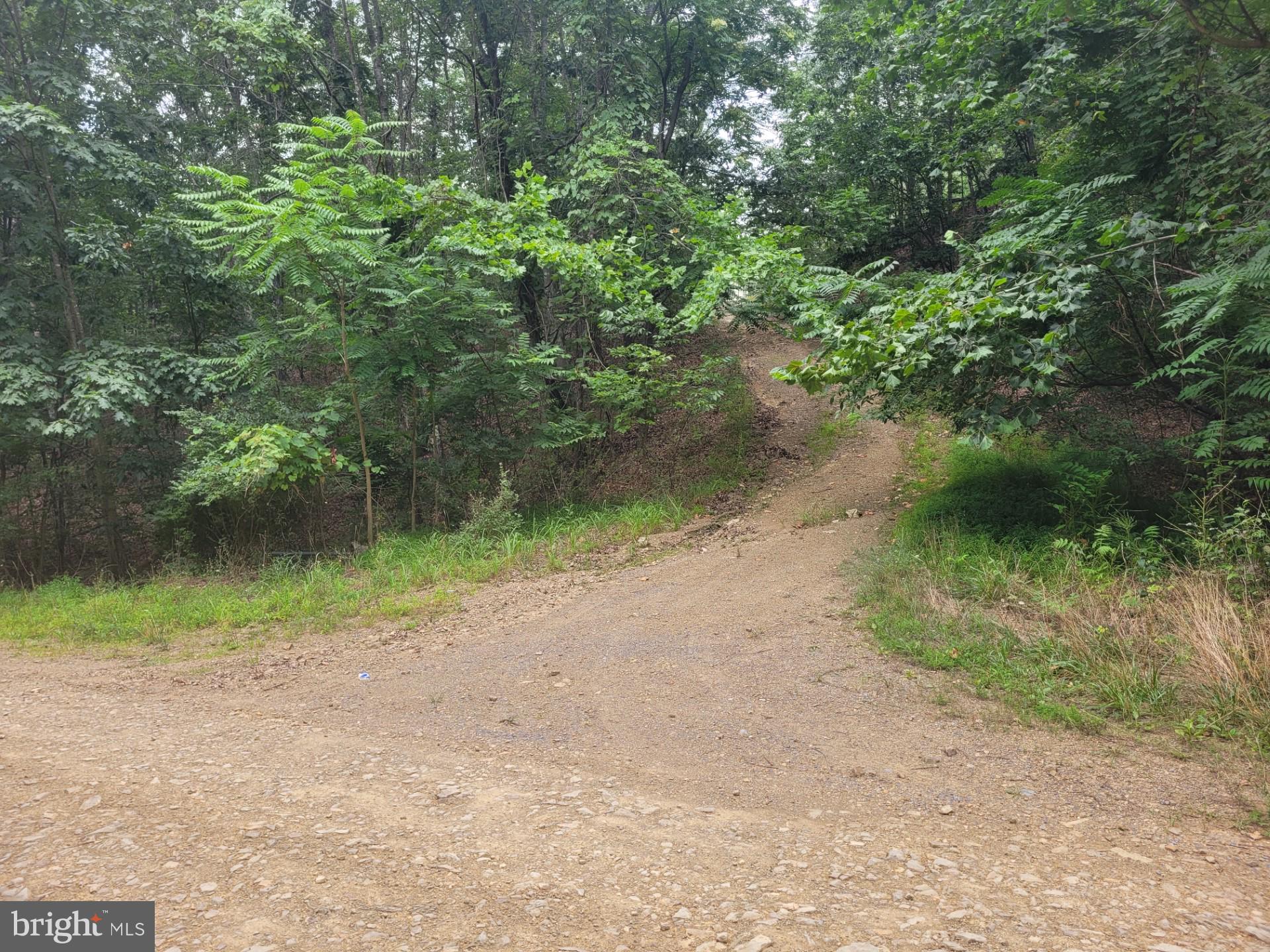 FRENCHBURG ESTATES - Land