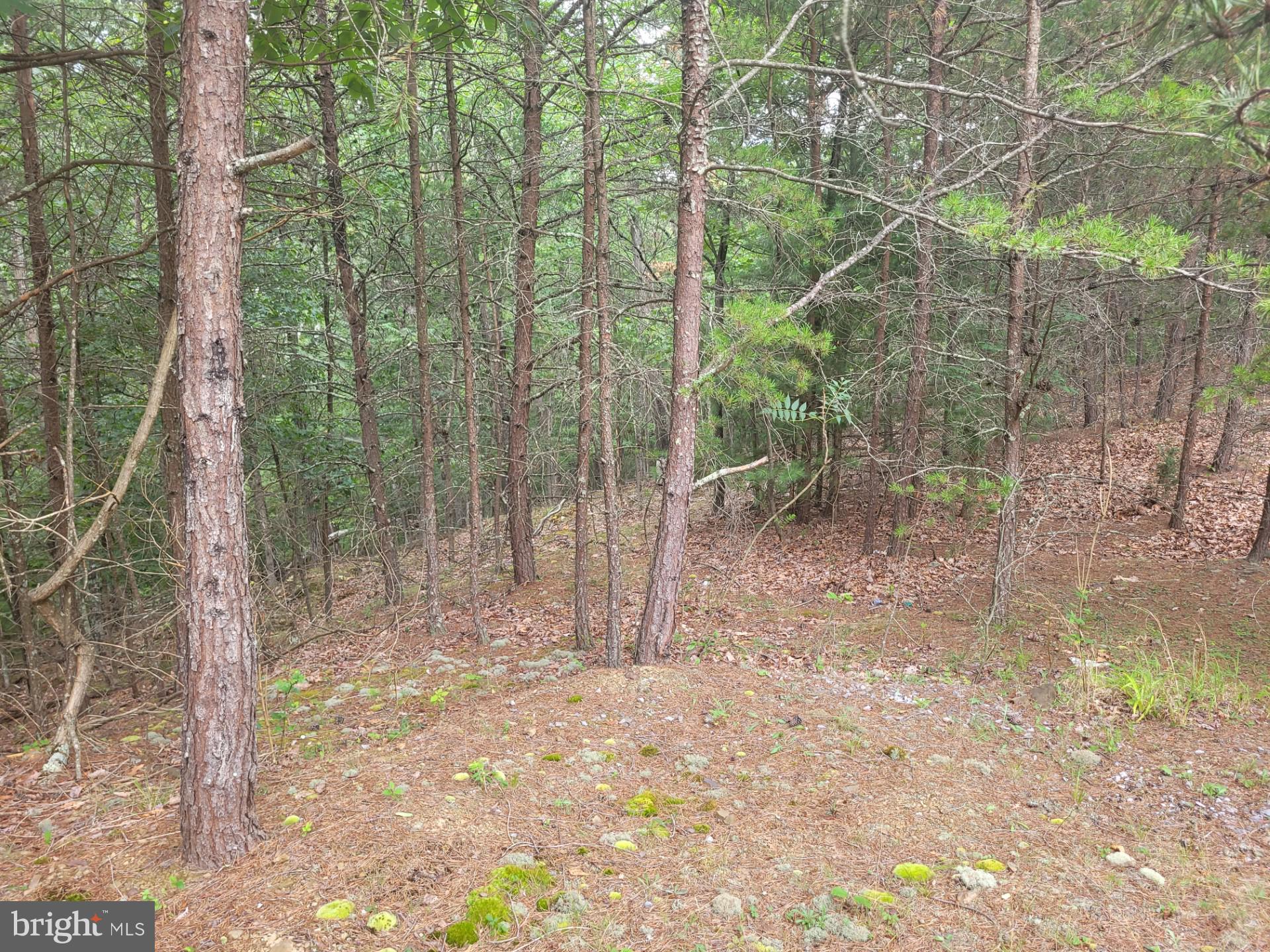 FRENCHBURG ESTATES - Land