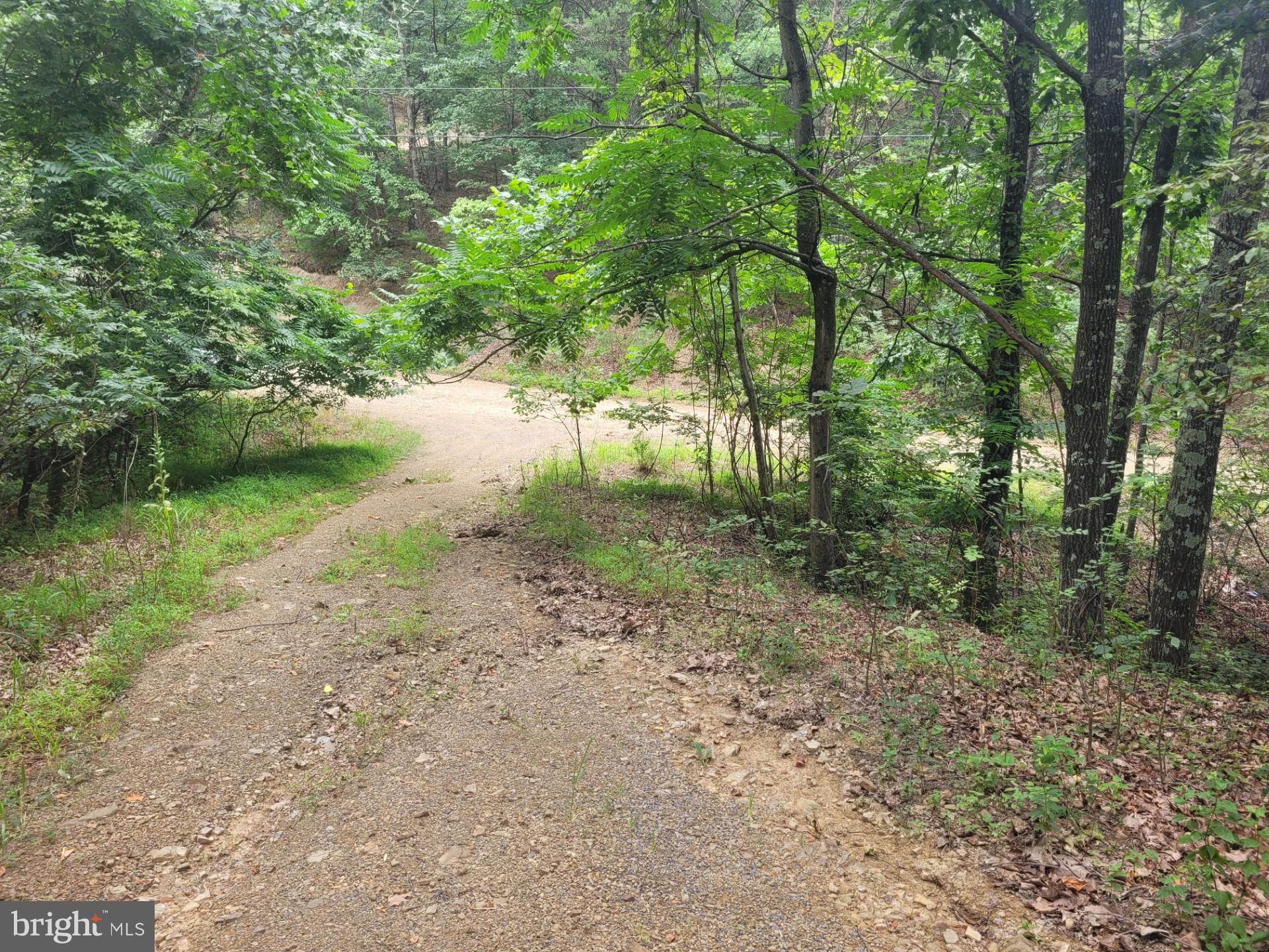 FRENCHBURG ESTATES - Land