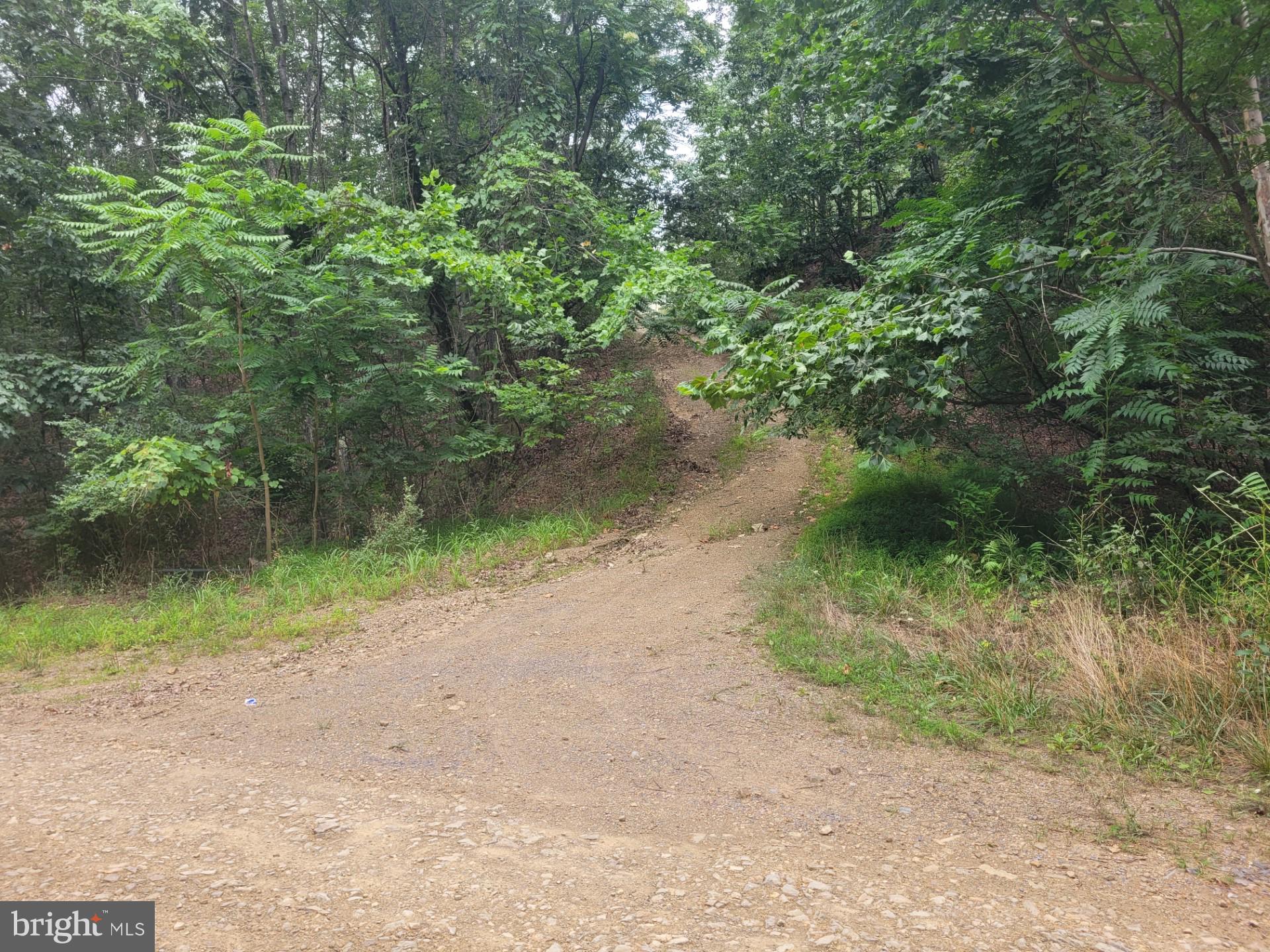 FRENCHBURG ESTATES - Land