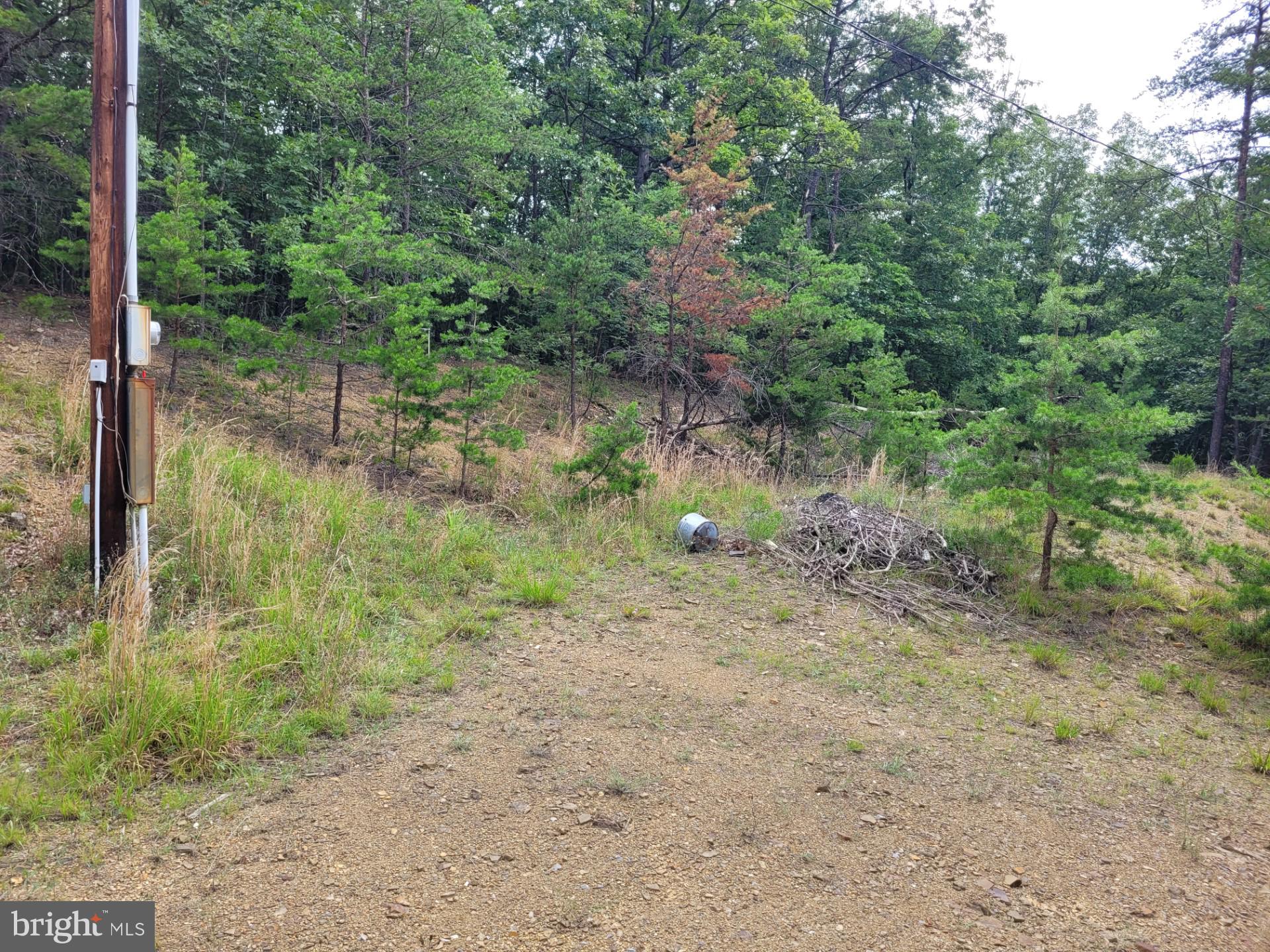 FRENCHBURG ESTATES - Land