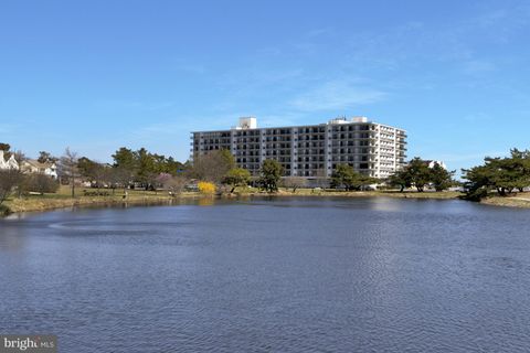 listing image 100