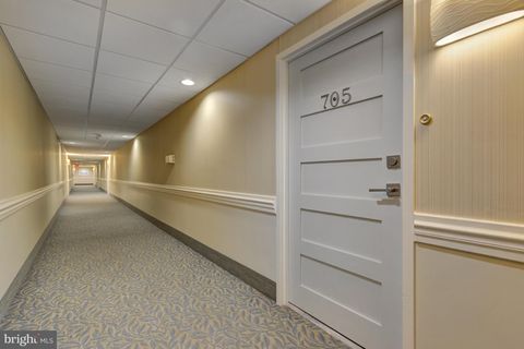 listing image 79