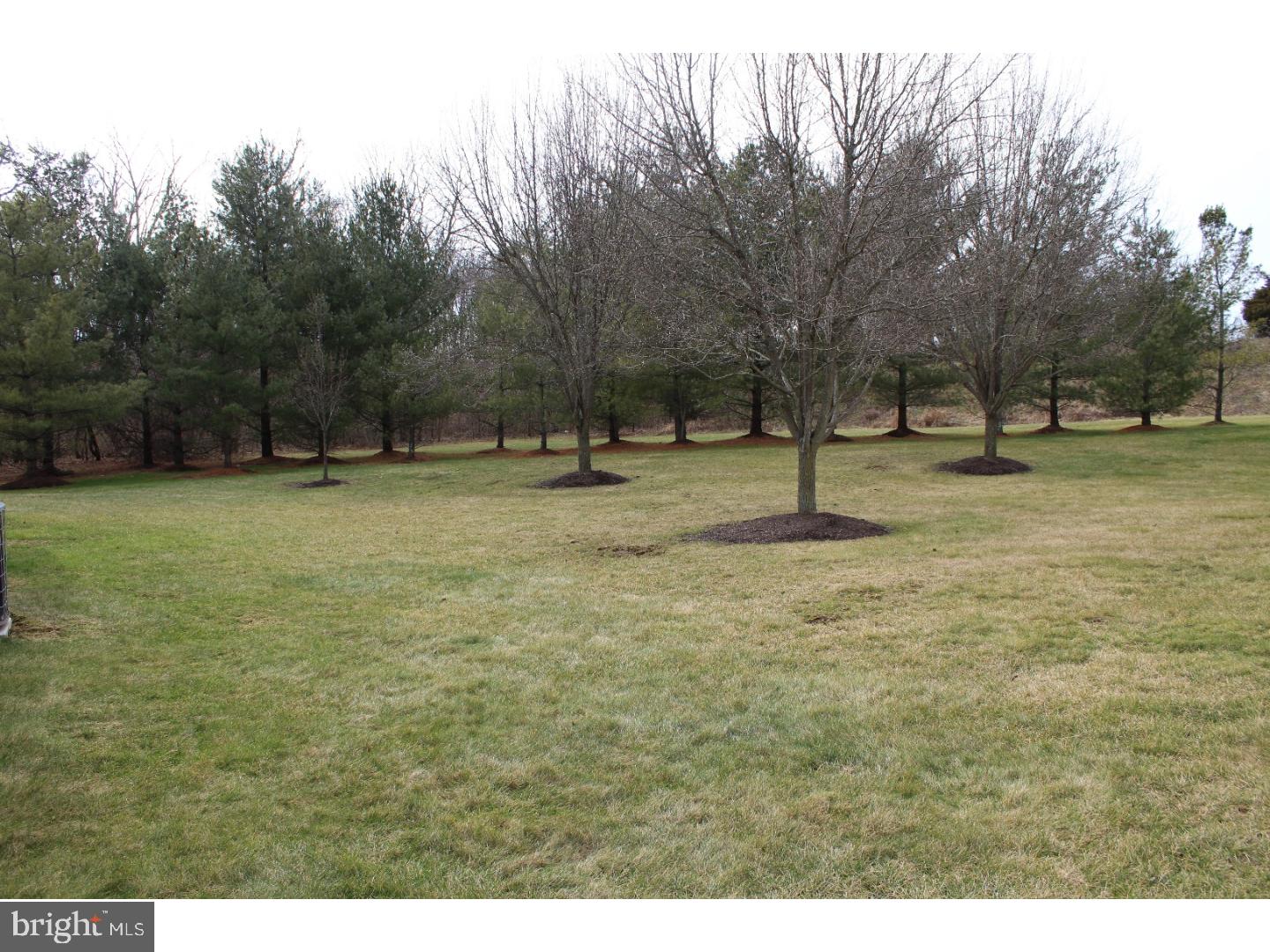 TERR AT MONTGMRY WLK - Residential Lease