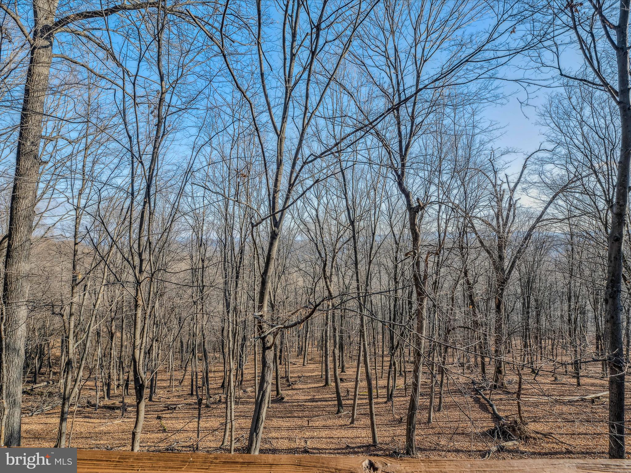 COOLFONT MOUNTAINSIDE - Residential