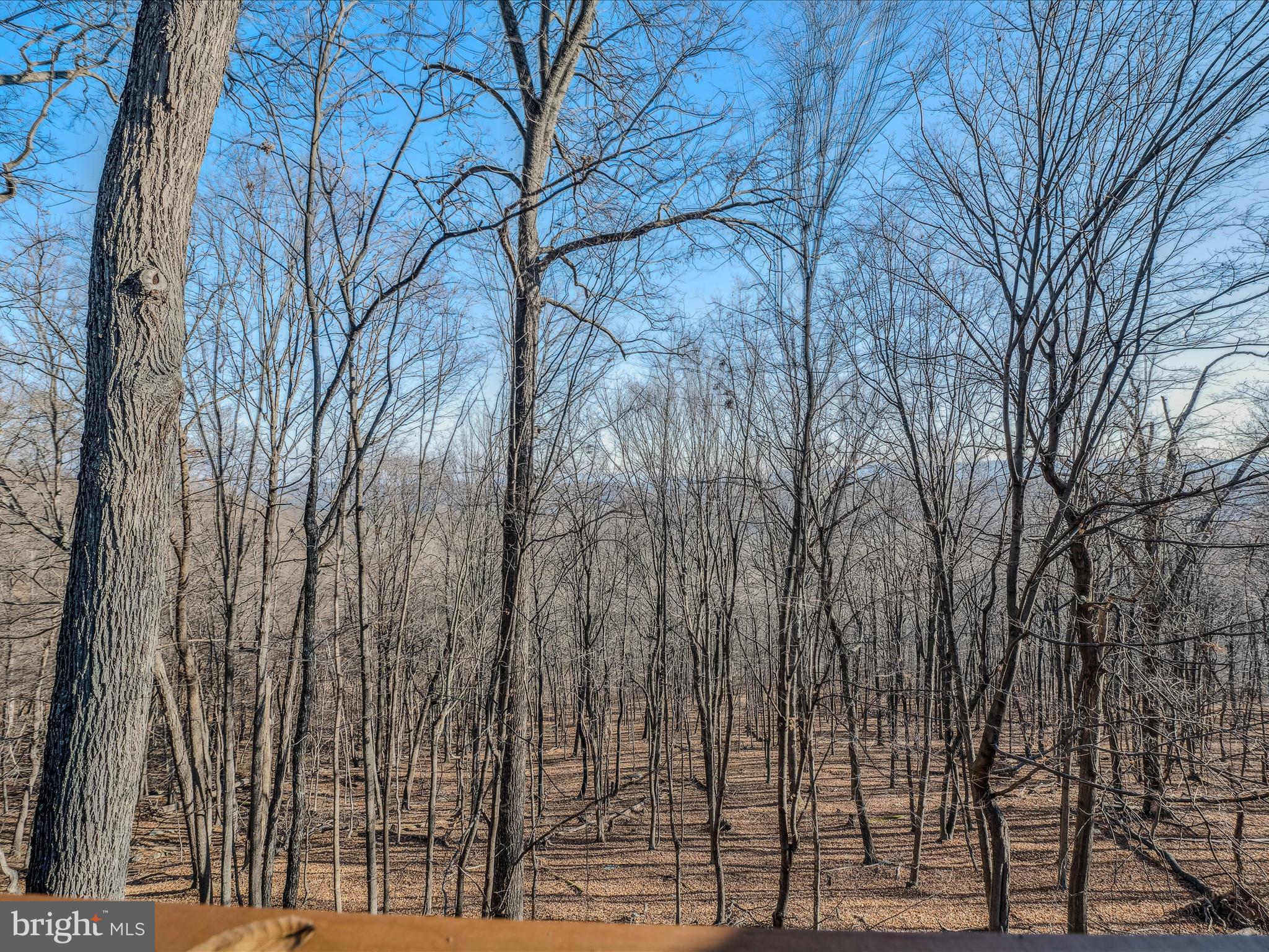 COOLFONT MOUNTAINSIDE - Residential