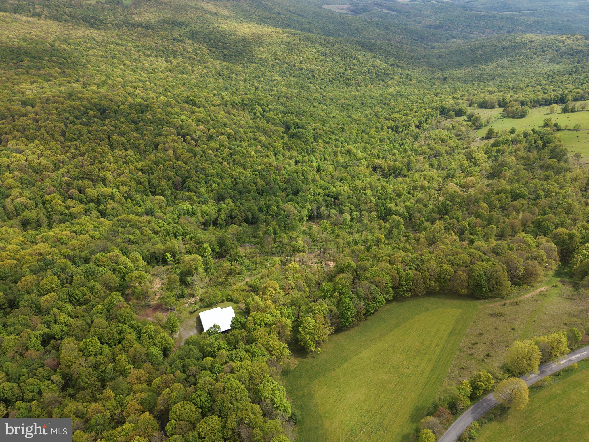TRACT 5: 105.26+/- ACRES GRANDVIEW DR